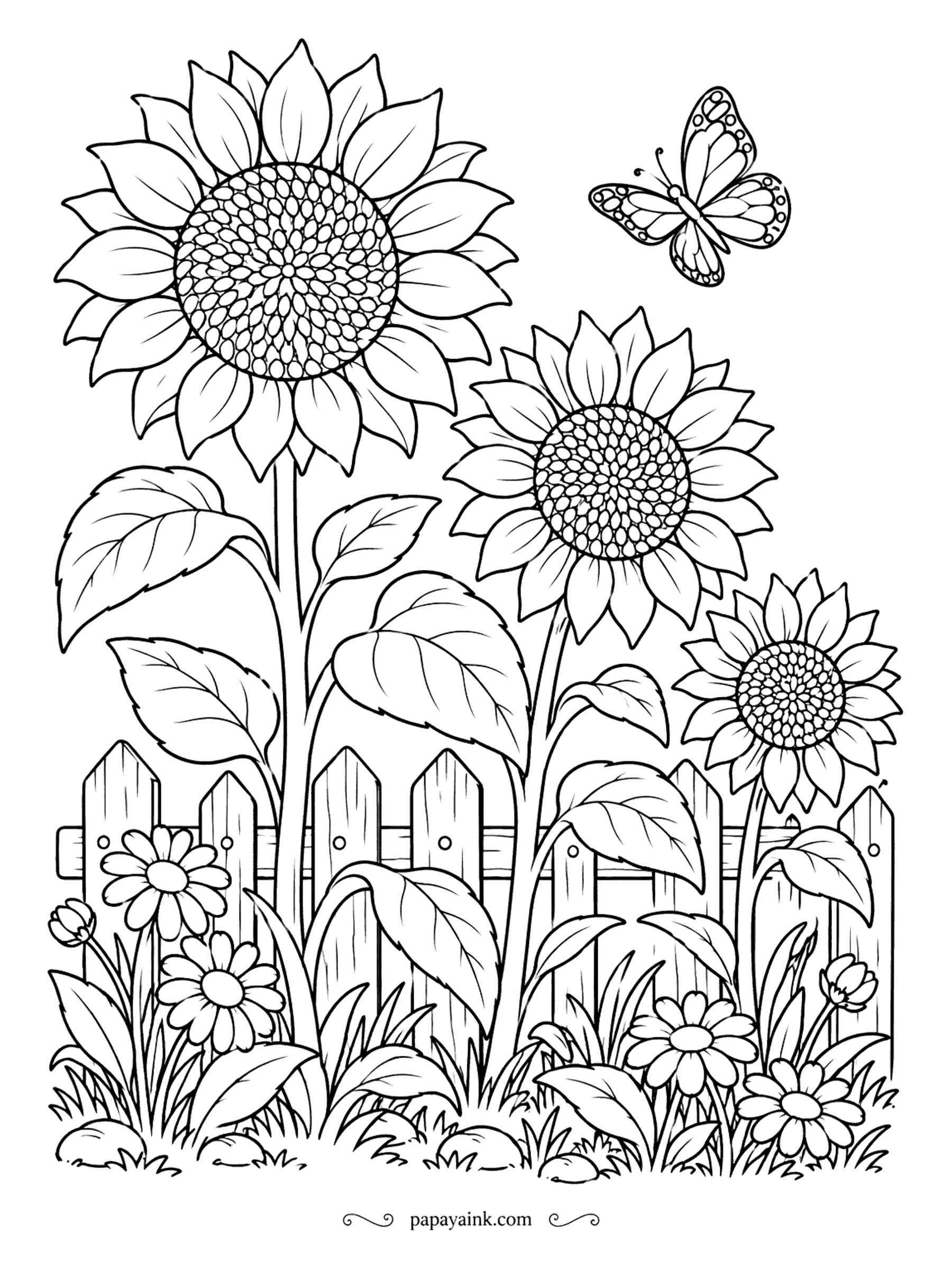 Flower Coloring Pages - Three sunflowers tower over the garden fence, the way they do by midsummer. Daisies fill the bed at their feet while a butterfly drifts past. Centers in browns, petals in gold and a weathered gray for the pickets.