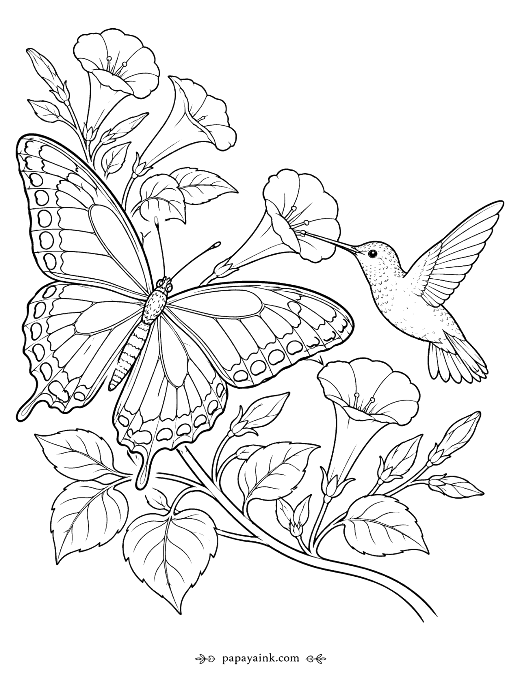 Butterfly Coloring Pages - Butterfly and Hummingbird Coloring Page: Swallowtail on Morning Glory Vines (Detailed)