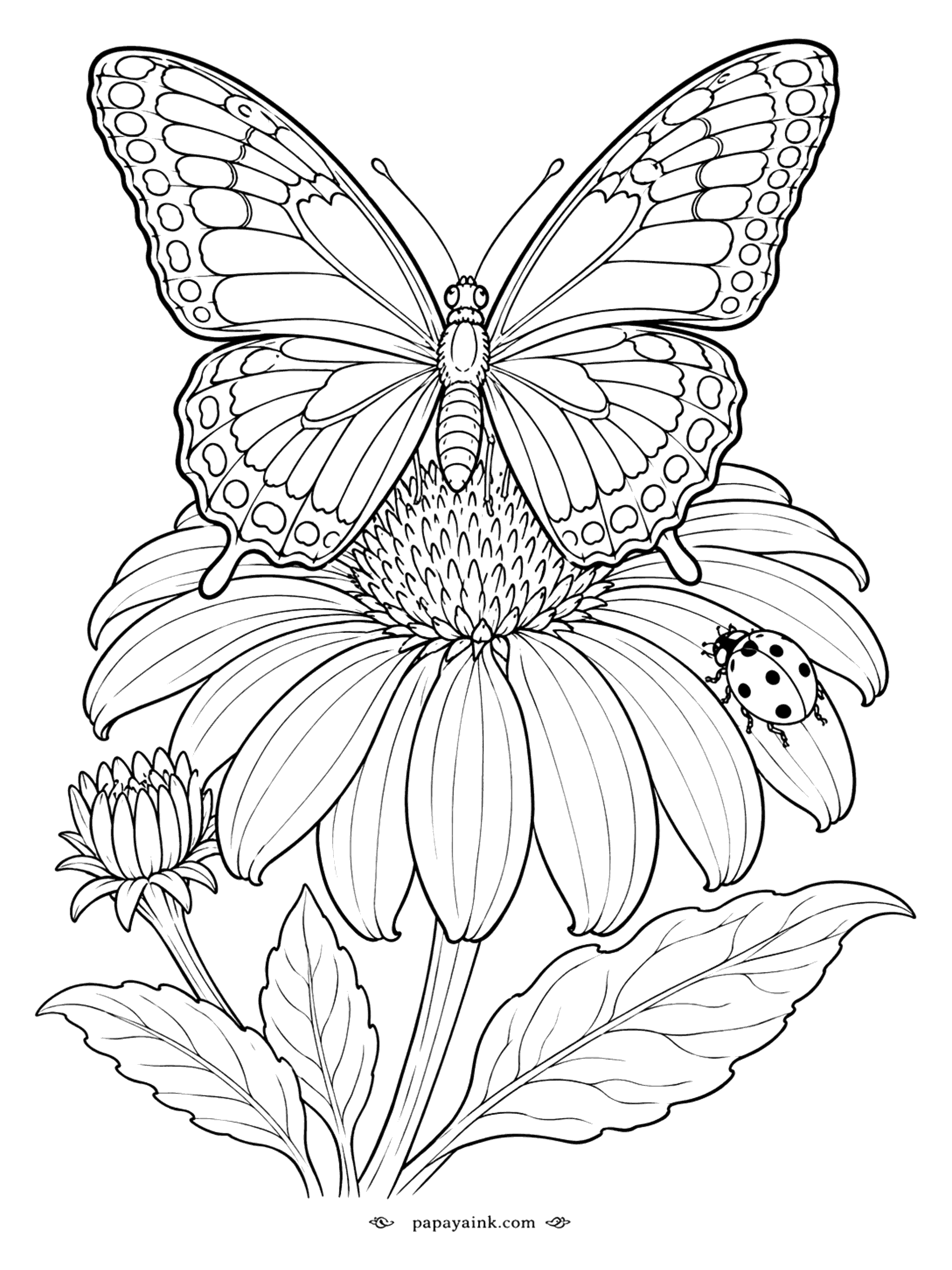 Butterfly Coloring Pages - Butterfly Coloring Page: Swallowtail on a Coneflower with a Ladybug (Detailed)