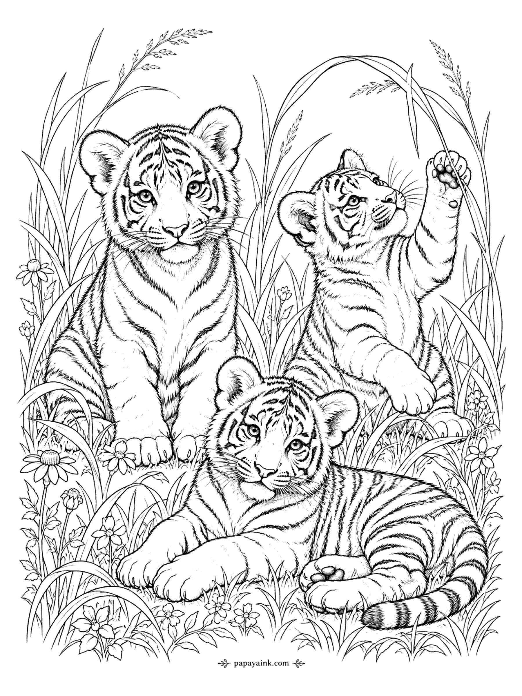 Tiger Coloring Pages - Three cubs sit and play in tall meadow grass dotted with daisies and buttercups, one batting at a seed head. Detailed.