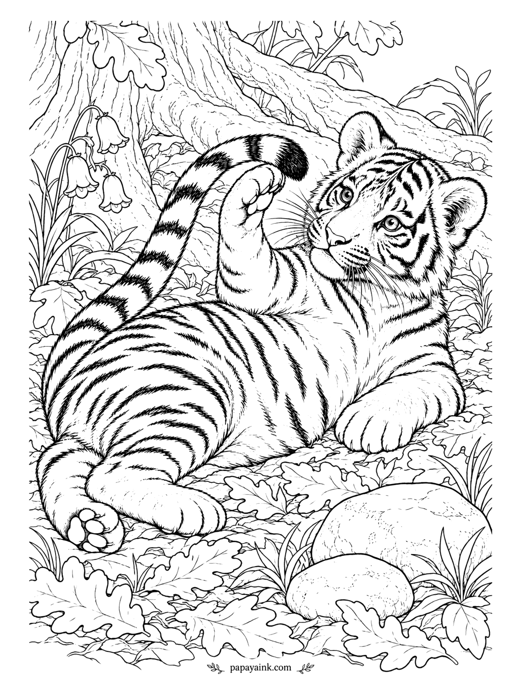 Tiger Coloring Pages - The enemy has been found, and it is attached. A cub twists around on a bed of oak leaves and swats at the black tip of his own tail, bluebells nodding behind him. The oak leaves take a fall mix of rust, gold and brown.