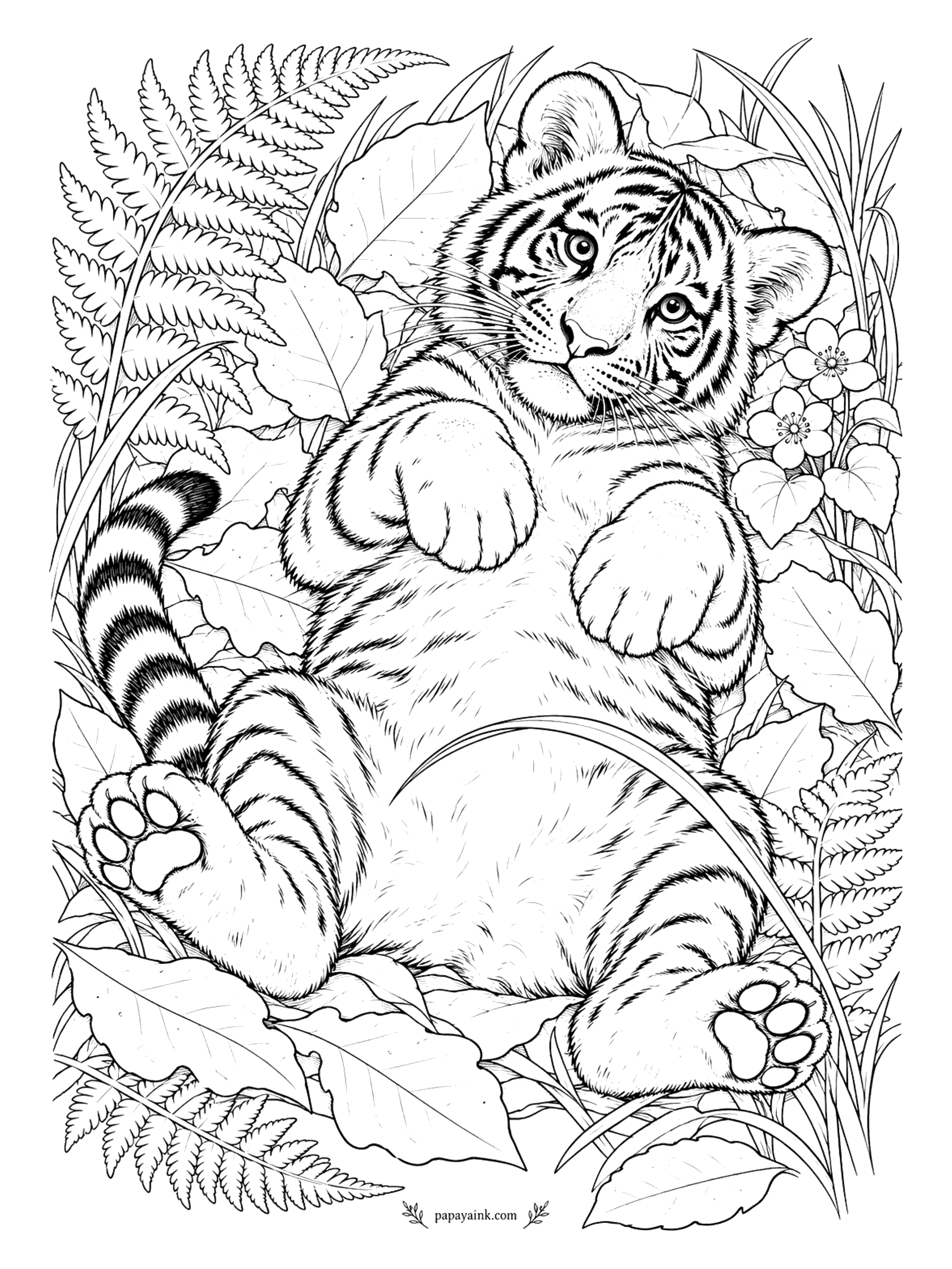 Tiger Coloring Pages - Flat on his back in the leaves, belly to the sky, paws in the air and every toe pad on display. He looks straight at you and expects something. The belly is white fur - shade it with cream and a little gray.