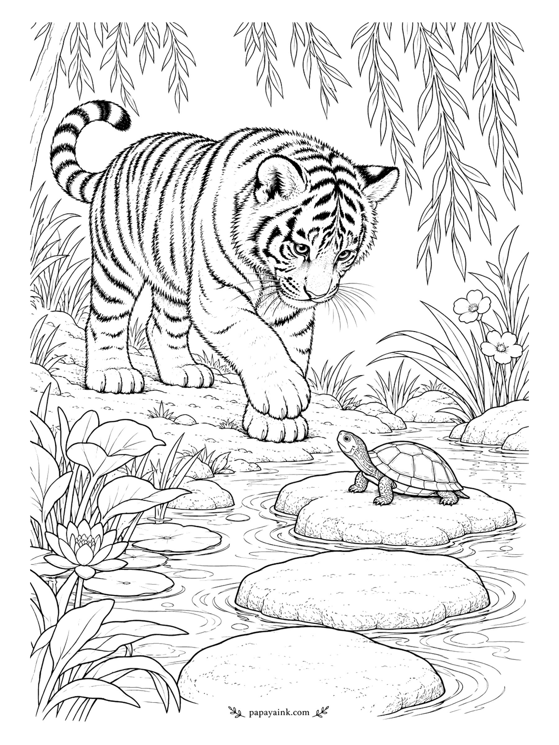 Tiger Coloring Pages - The stepping stone is taken. A small turtle sits on it with its neck stretched up, and the cub stops with one paw raised to think about another route. Willow leaves hang overhead. Mostly open water - quick to finish.