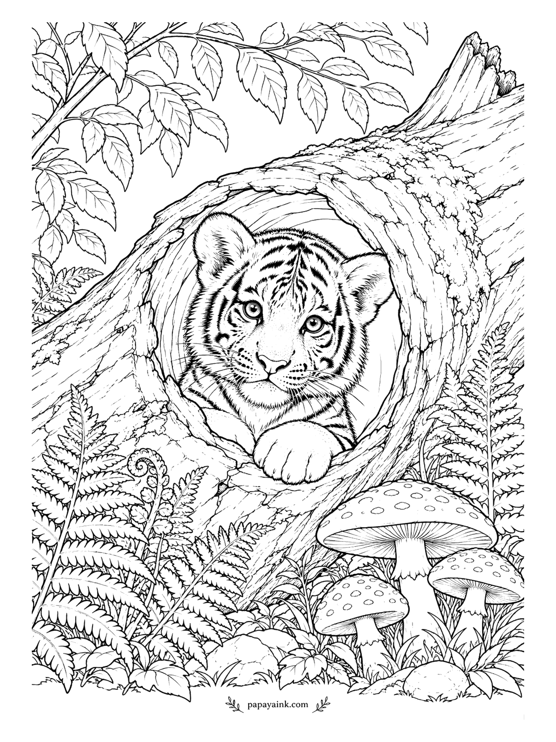Tiger Coloring Pages - A hollow log makes a good window. The cub looks out of it with one paw over the sill, spotted mushrooms by the door and ferns on either side. The darker you shade the inside of the log, the more the face stands out.