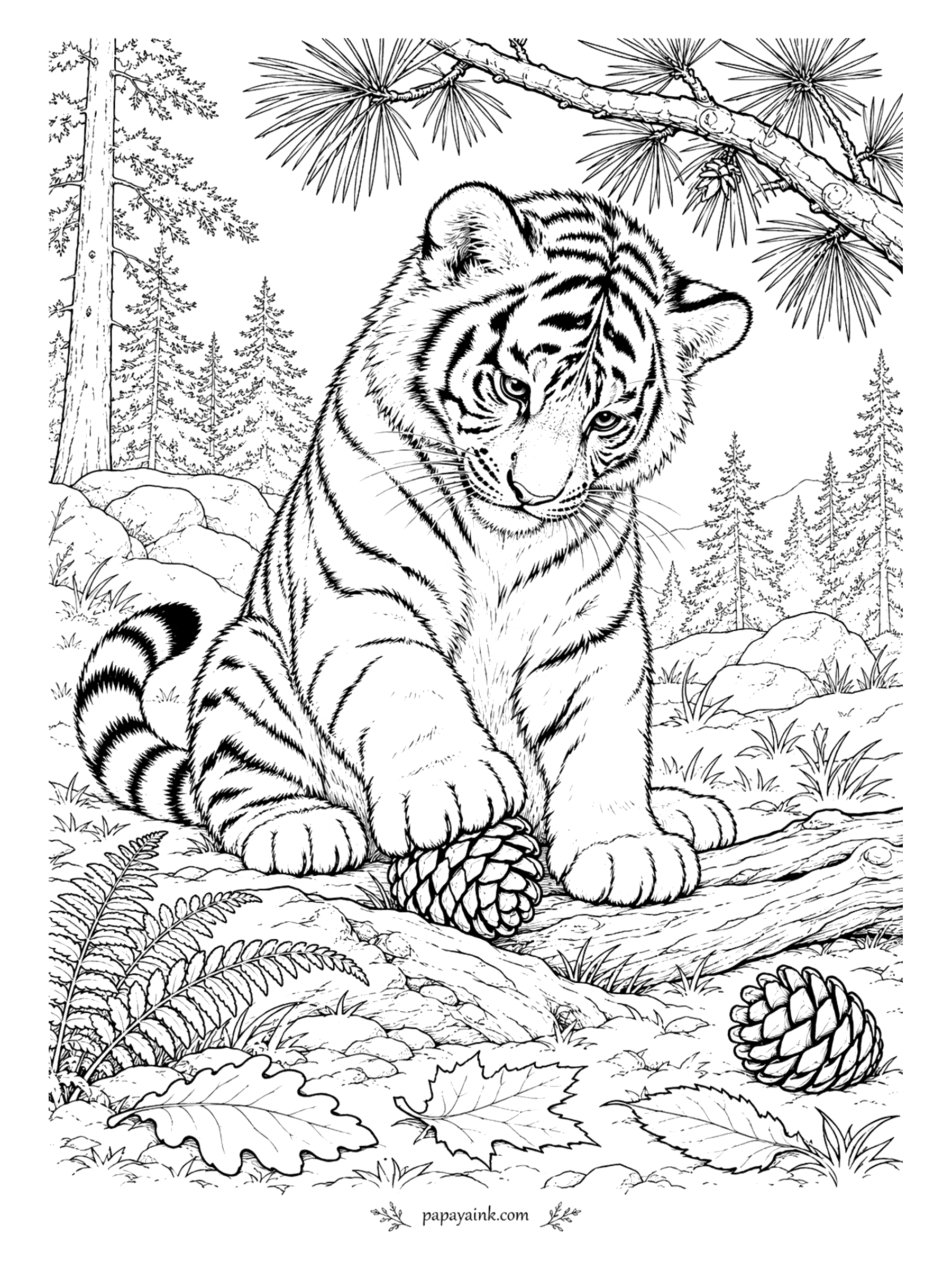 Tiger Coloring Pages - Northern forest, and a pinecone that must be held down in case it runs. The cub rests one heavy paw on it and studies the problem, with pines and boulders behind and another cone waiting nearby. Try a thicker, paler Siberian coat here.