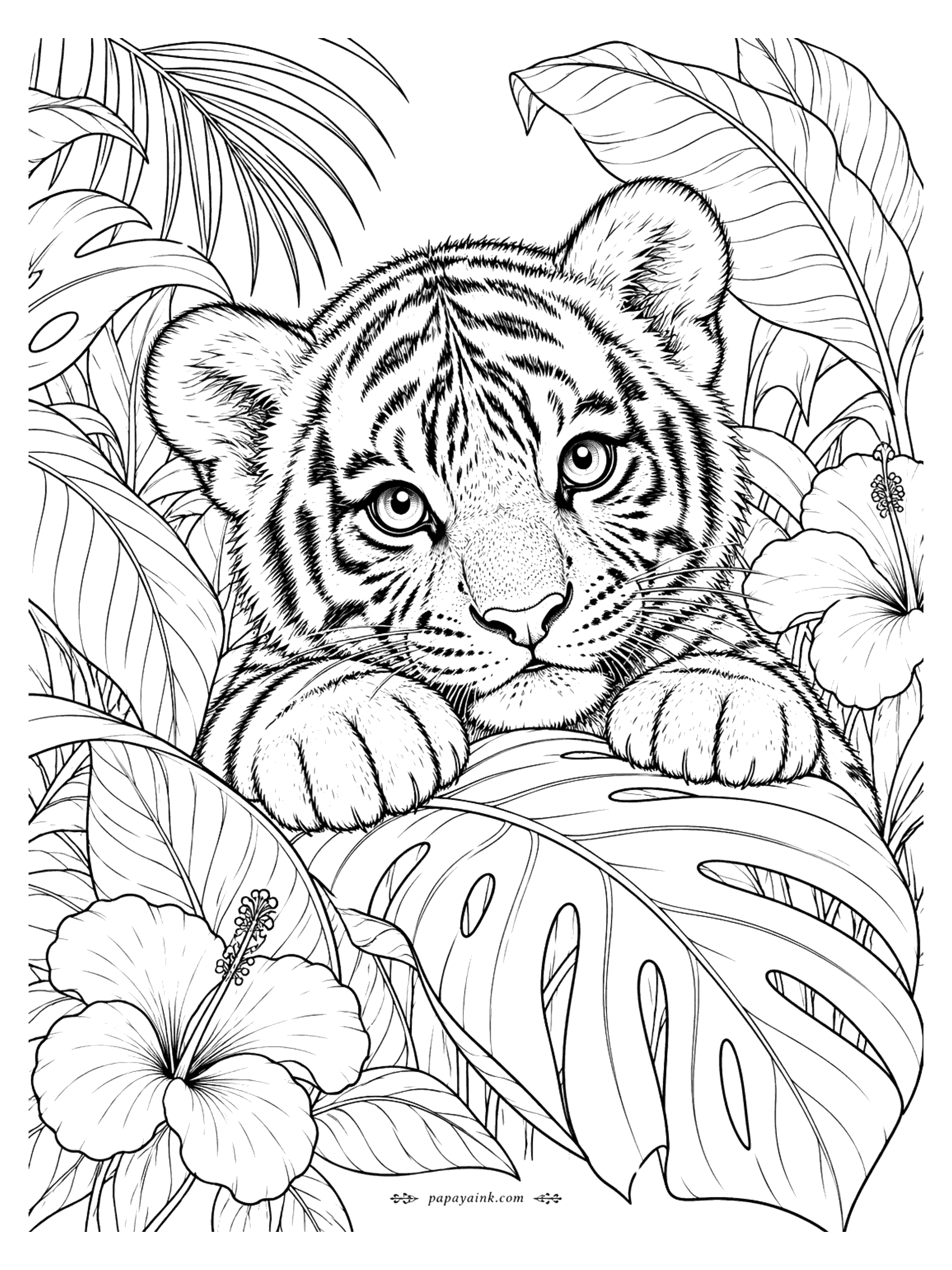 Tiger Coloring Pages - A tiger cub rests its chin and paws on a huge monstera leaf, framed by hibiscus flowers and tropical foliage. Perfect for bold jungle greens and hot pinks.