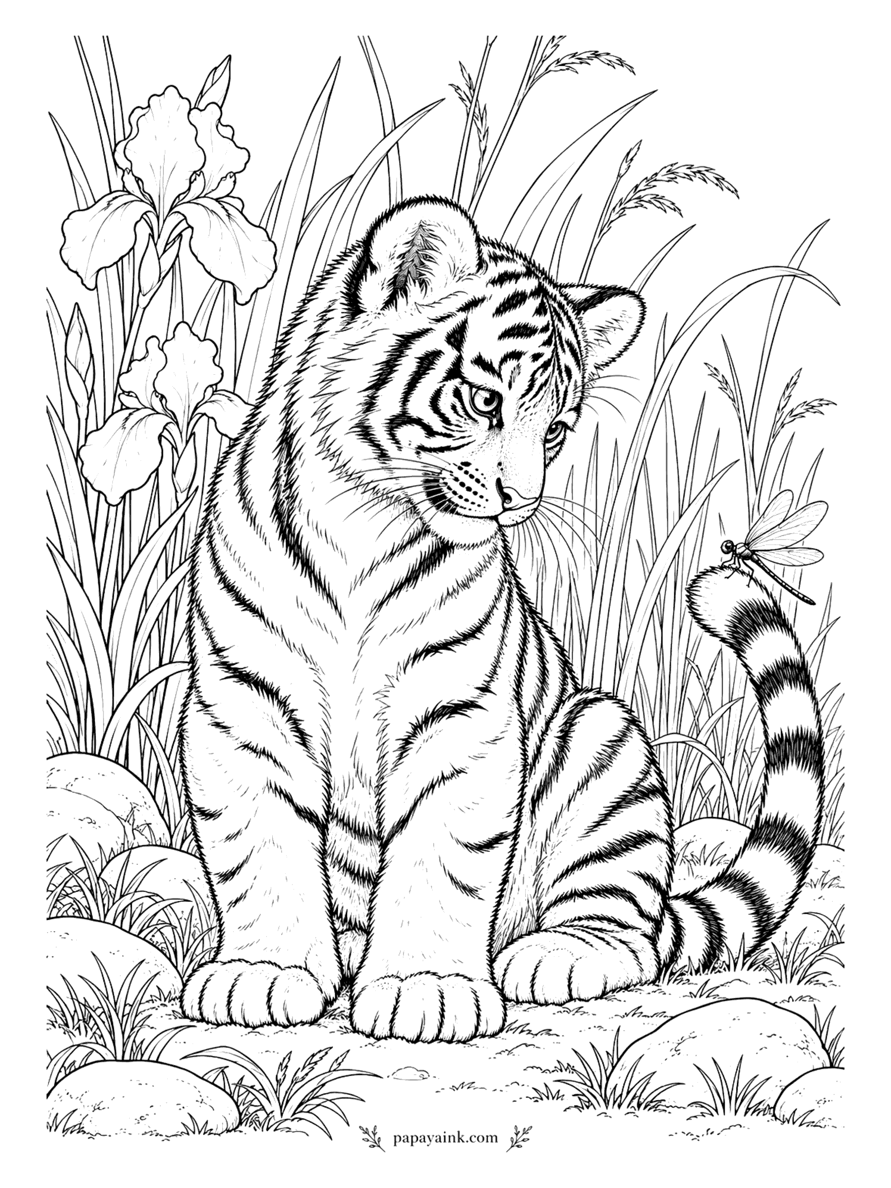 Tiger Coloring Pages - A dragonfly has chosen the tip of his tail as a landing pad, and the cub turns his head very slowly so as not to scare it off. Tall irises and seeded grass stand behind. The wings deserve a touch of pale blue or glitter pen.
