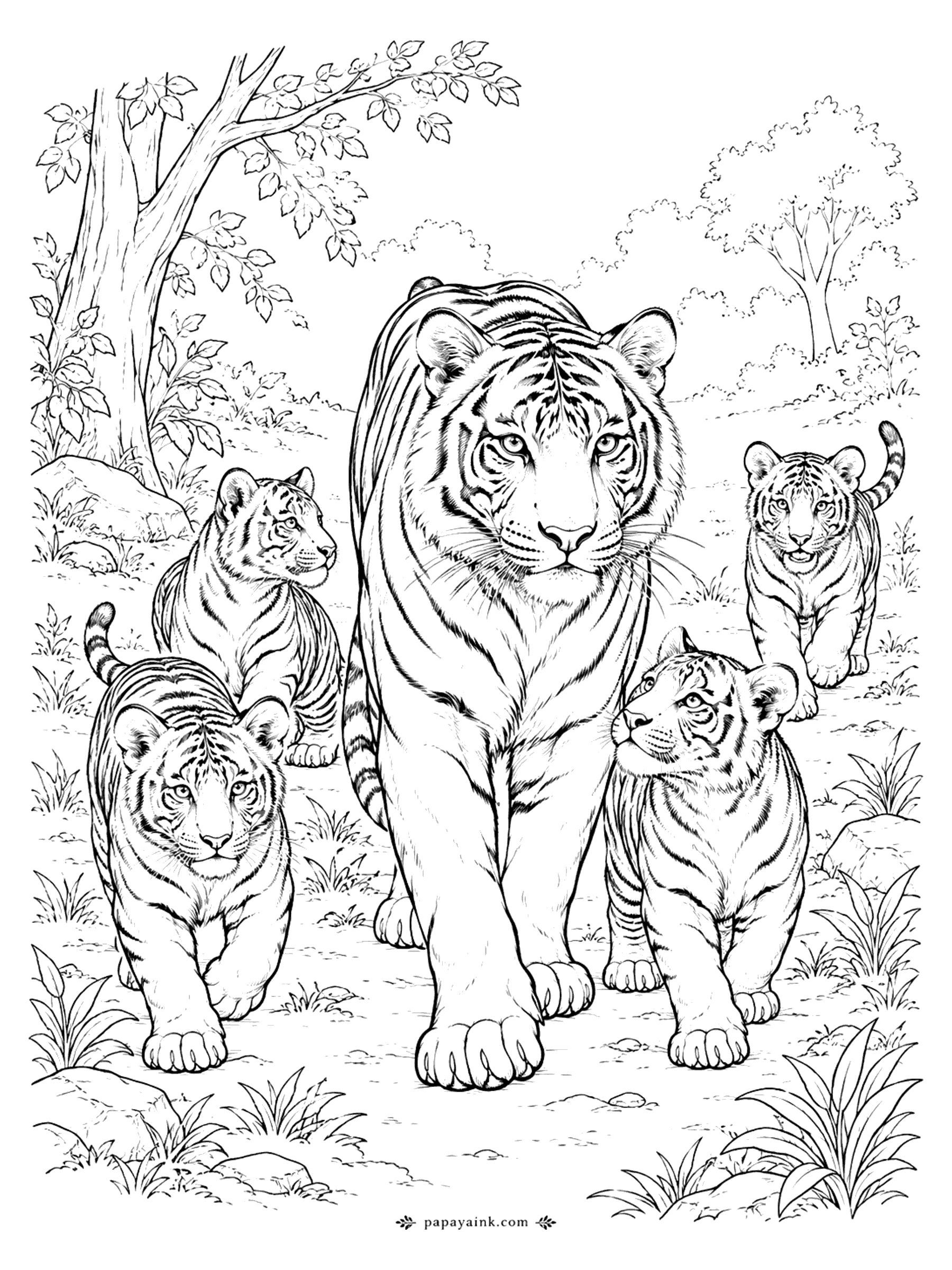 Tiger Coloring Pages - A tiger mother strides forward with four cubs around her on a woodland clearing. A busy, joyful family scene.