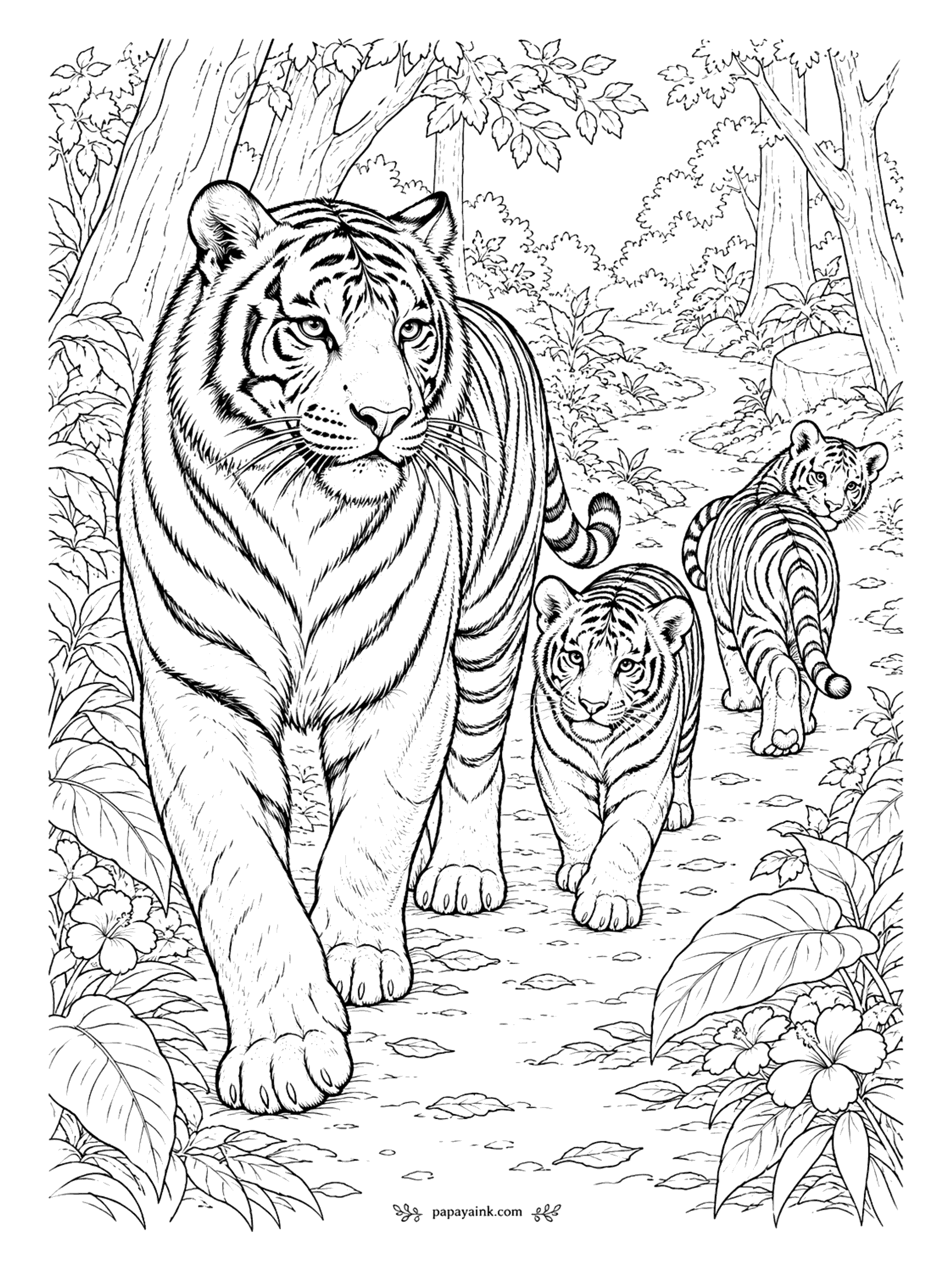 Tiger Coloring Pages - A tiger mother leads two cubs along a sunlit forest path, with tall trees and leafy undergrowth on both sides.