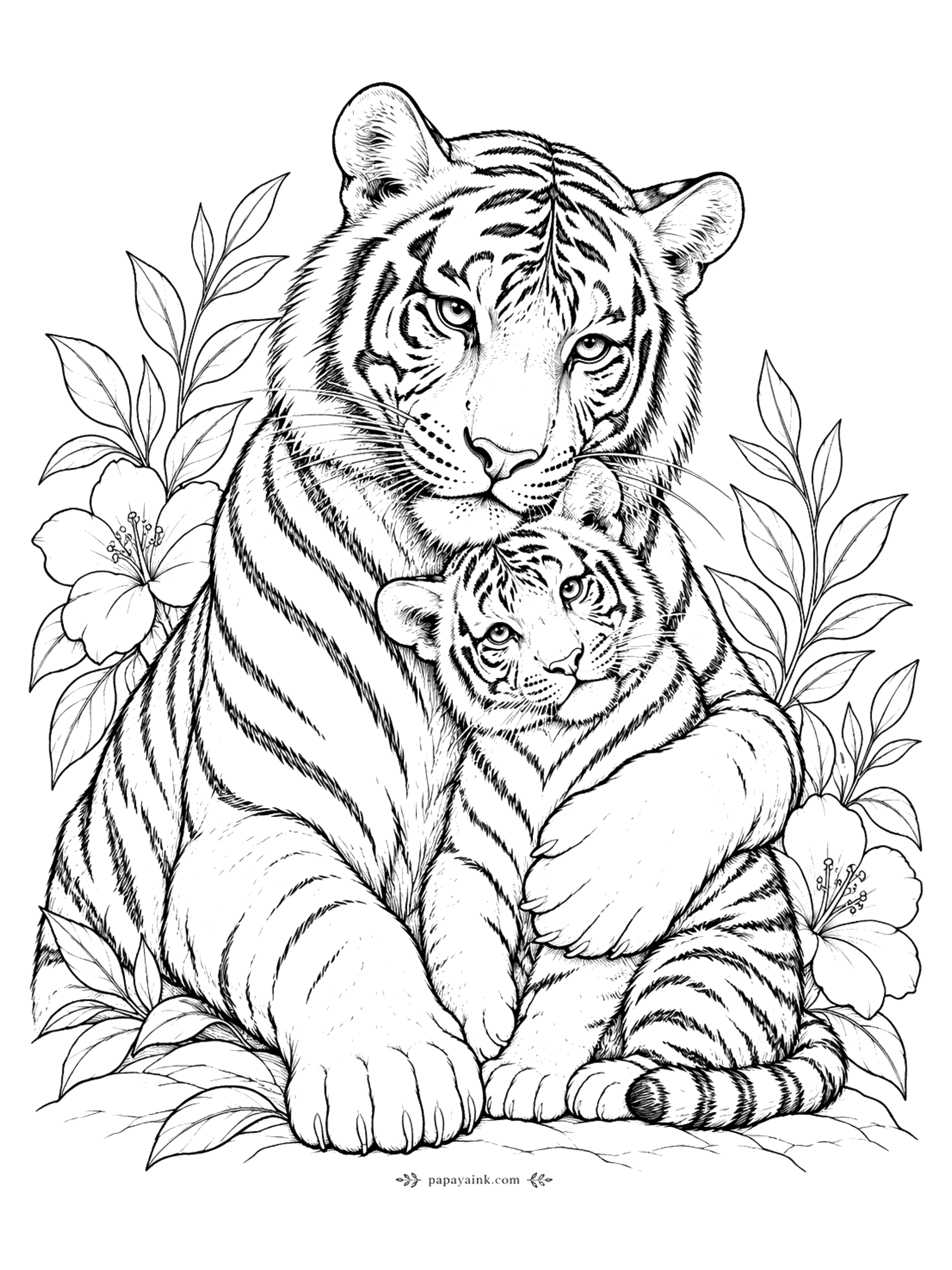 Tiger Coloring Pages - A tender scene of a tiger mother wrapping her paws around her cub, surrounded by hibiscus flowers and leaves. Clean lines and a sweet mood.