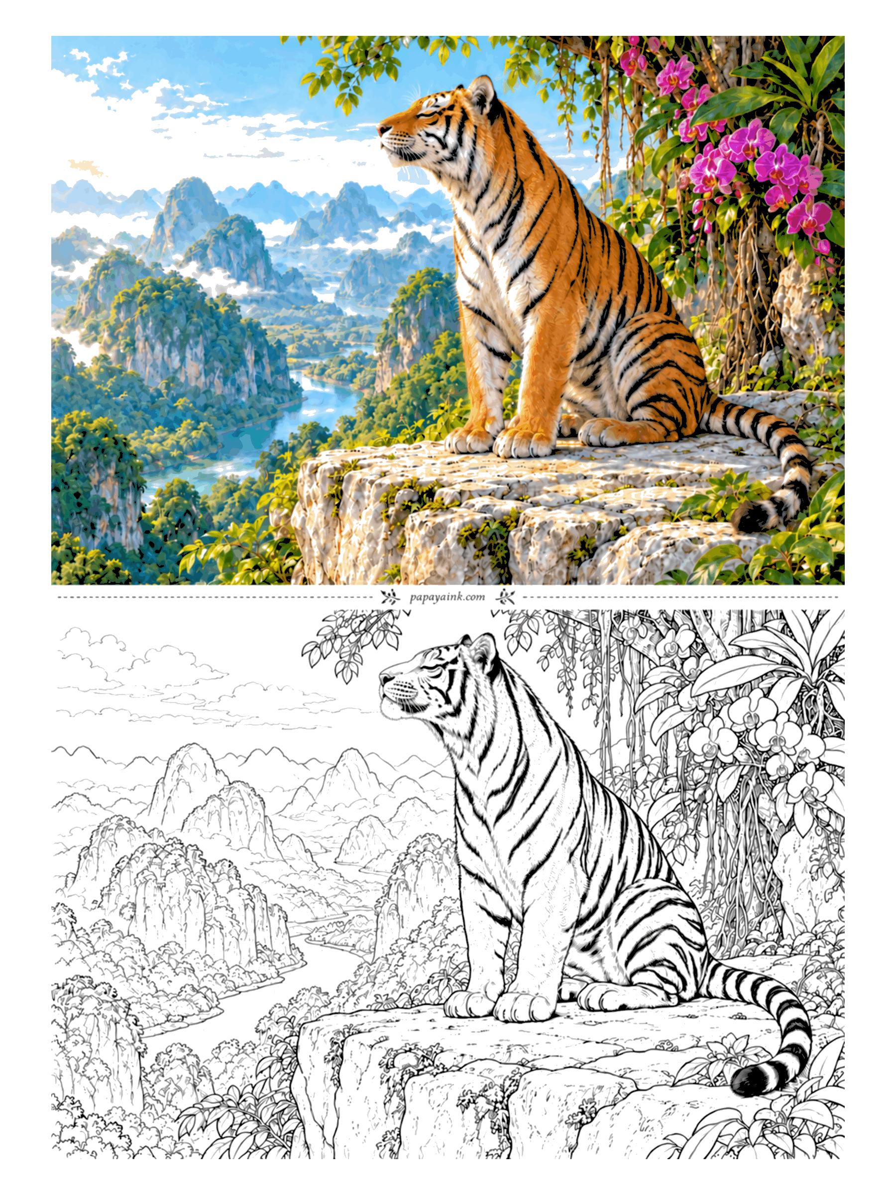 Tiger Coloring Pages - Chin up, eyes half shut, on the edge of a limestone cliff with a river valley and cloud-wrapped peaks far below. Orchids hang off the vines at the right. A good page for practicing distance: paler and bluer the farther away the hills are.