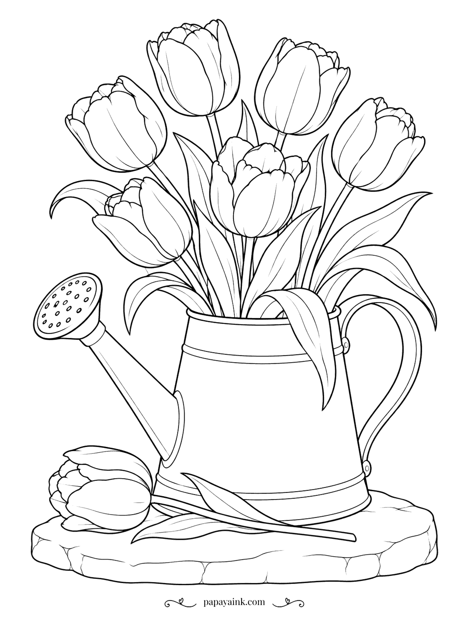 Flower Coloring Pages - The watering can has been promoted to vase. A full bunch of tulips stands in it on a stone step, with one more lying beside it, cut and waiting. Smooth, rounded petals - an easy page for blending two shades.