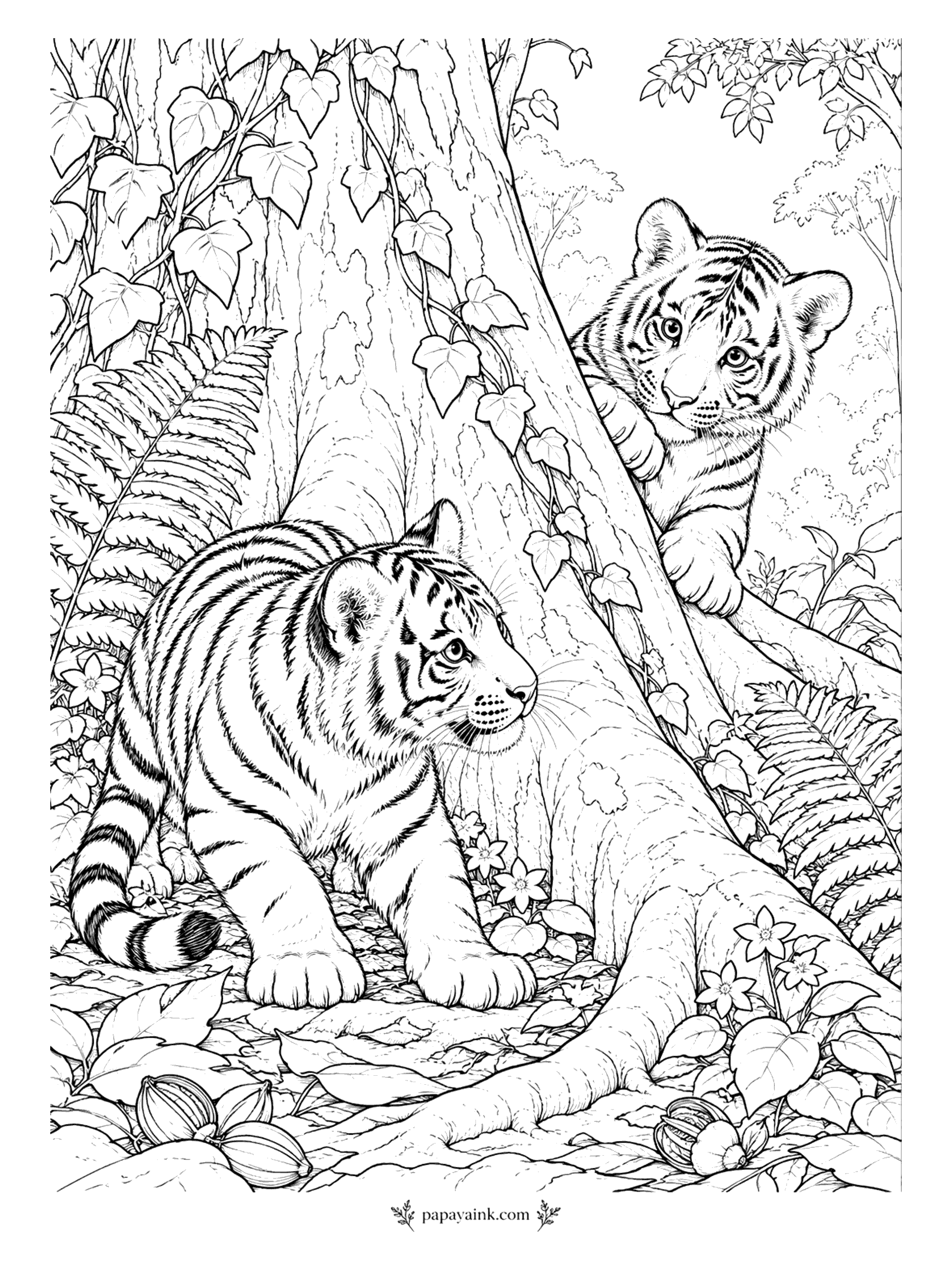 Tiger Coloring Pages - Hide-and-seek, and the hiding is not going well: one cub peeks around the trunk while the seeker stalks past below, looking the wrong way for now. Ivy climbs the bark and ferns fill the gaps. Detailed, with a lot of foliage.