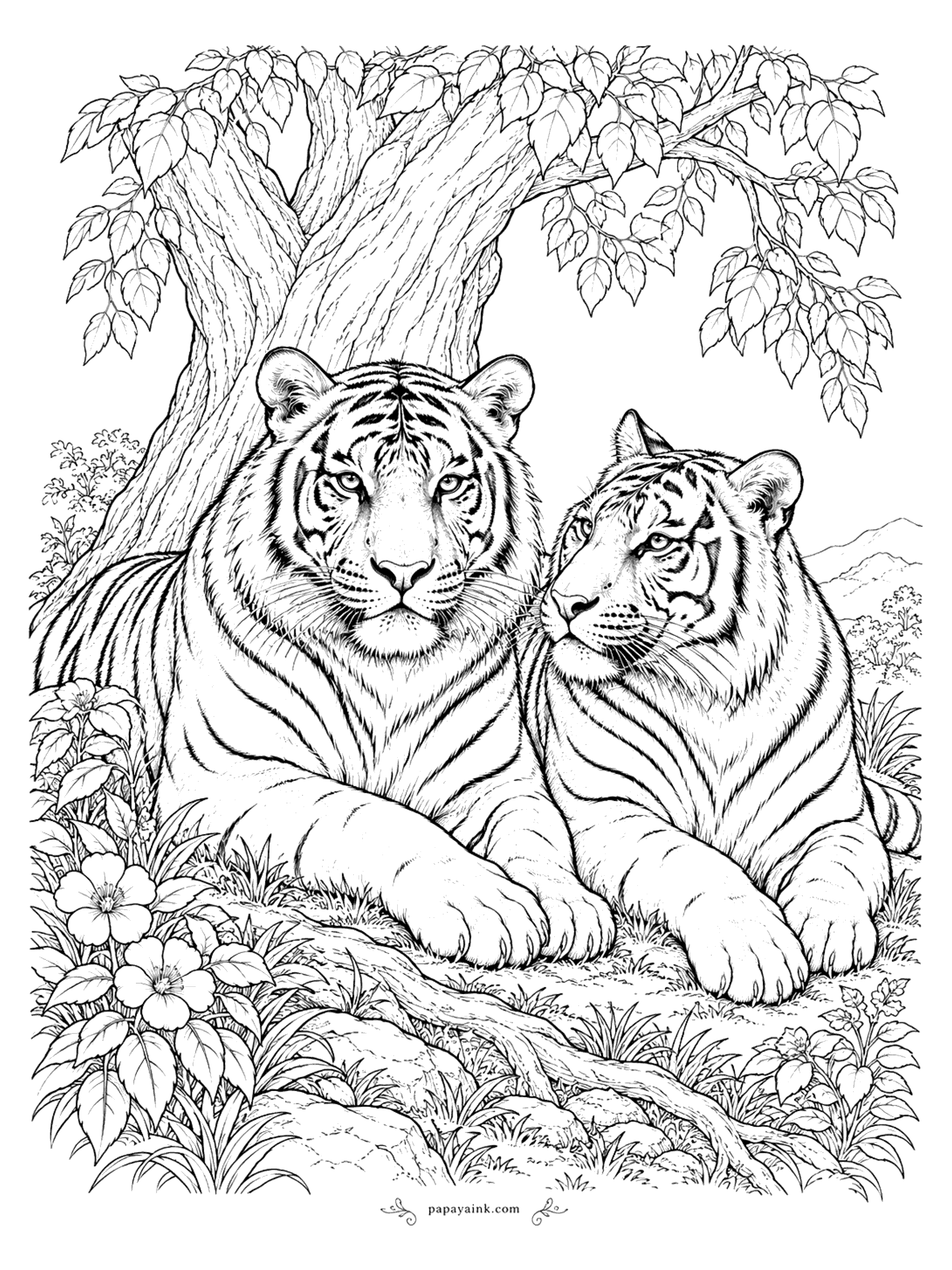 Tiger Coloring Pages - Two adult tigers lie side by side beneath a leafy tree, with wildflowers, roots, and rolling hills in the background. Detailed.