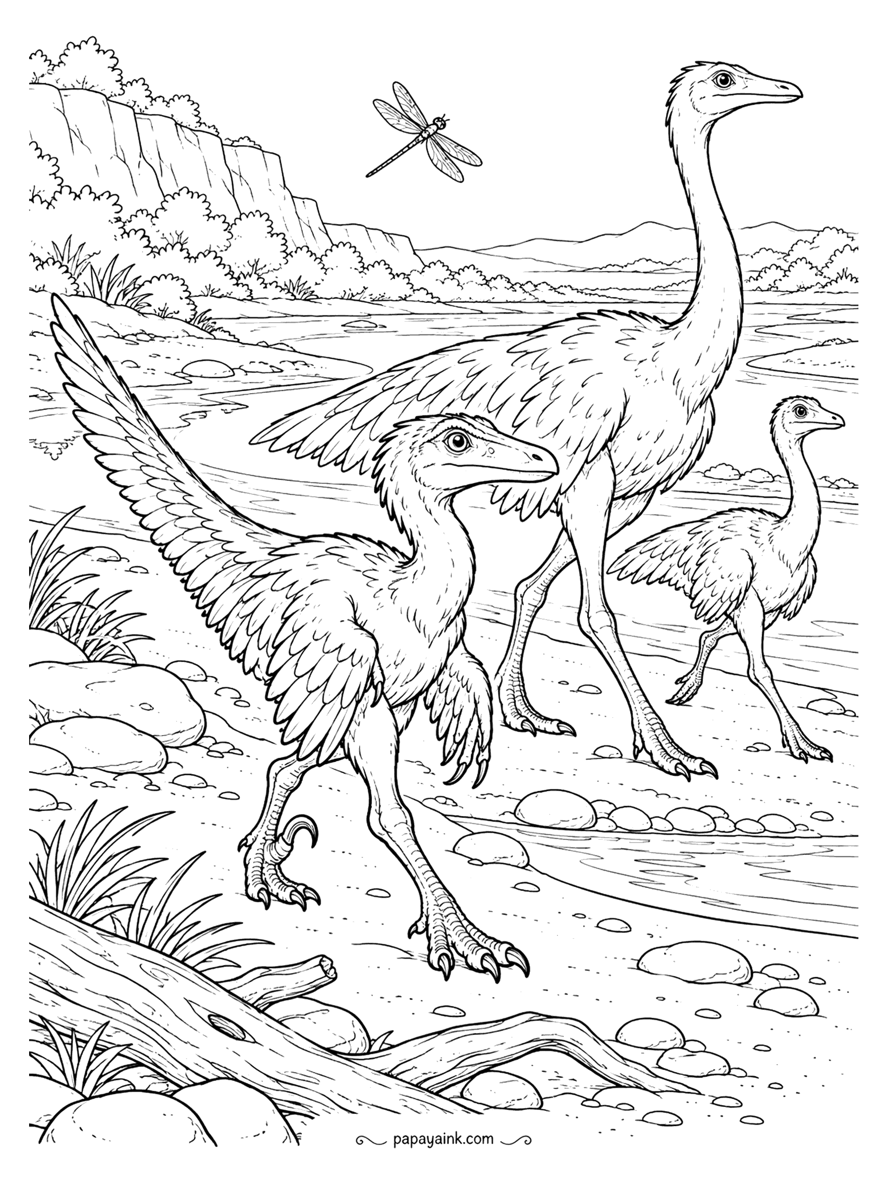 Velociraptor Coloring Pages - A gallimimus and its youngster stride along the river sandbar on ostrich-like legs while the velociraptor walks beside them, wings half spread. A dragonfly zigzags overhead. Slender necks and smooth lines to fill.