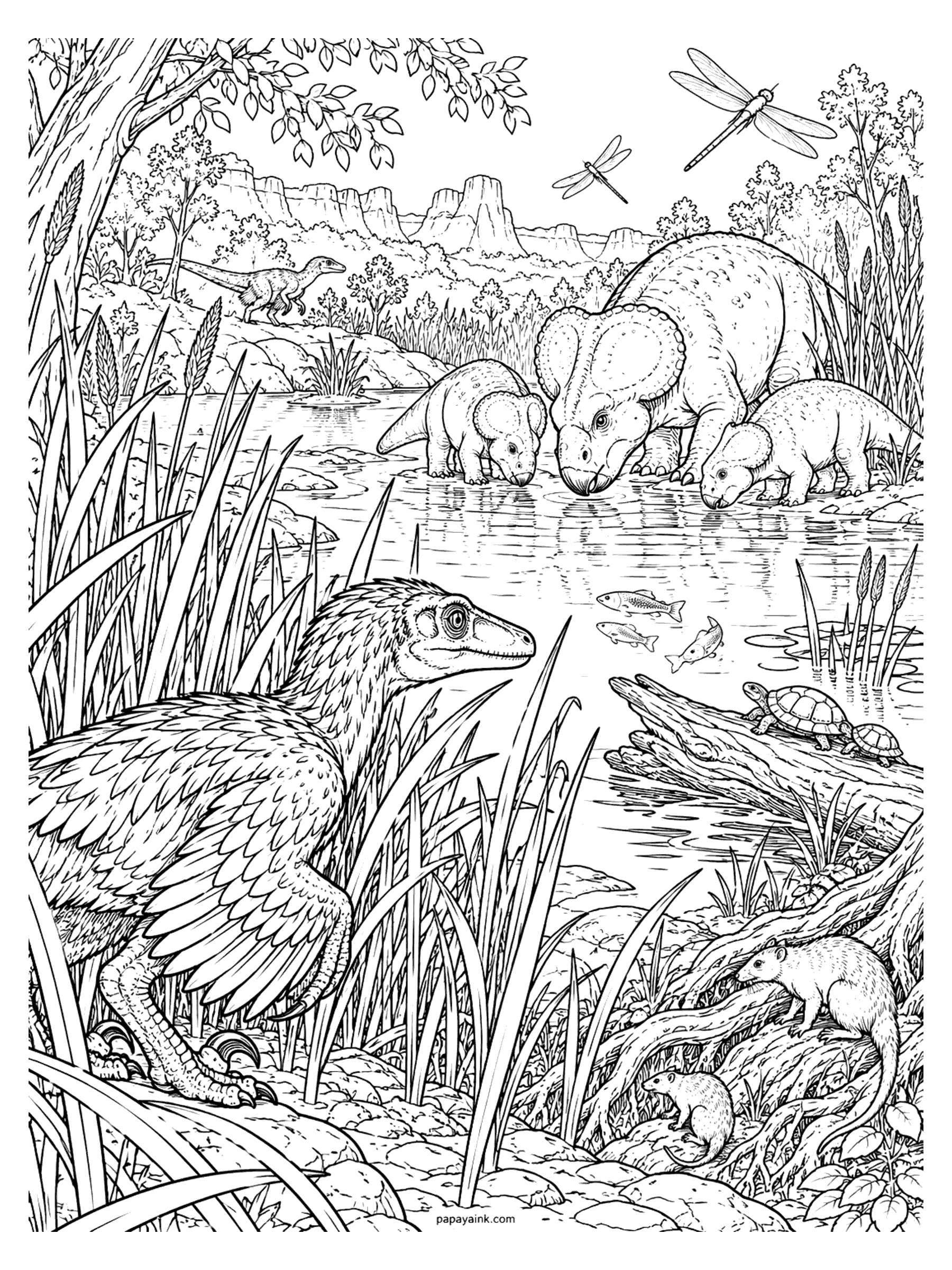 Velociraptor Coloring Pages - A velociraptor crouches in the tall reeds and watches a protoceratops family drink, with turtles, fish, dragonflies, and tiny mammals all around. Detailed.