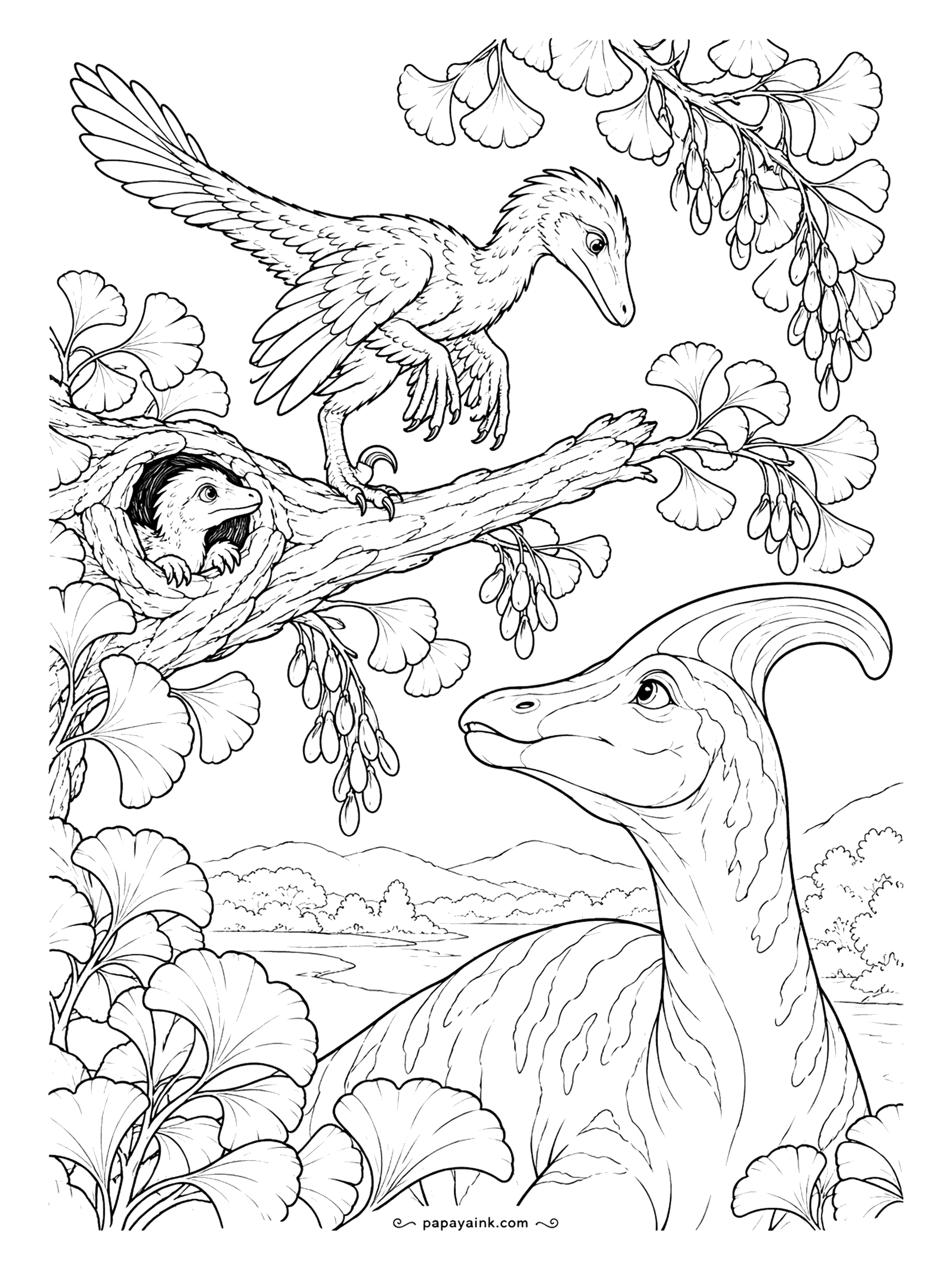 Velociraptor Coloring Pages - Up on a ginkgo branch, the velociraptor peers down at a crested saurolophus browsing below, and a small mammal peeks out of a knothole. Real Velociraptor was roughly turkey-sized, light enough to perch like this.