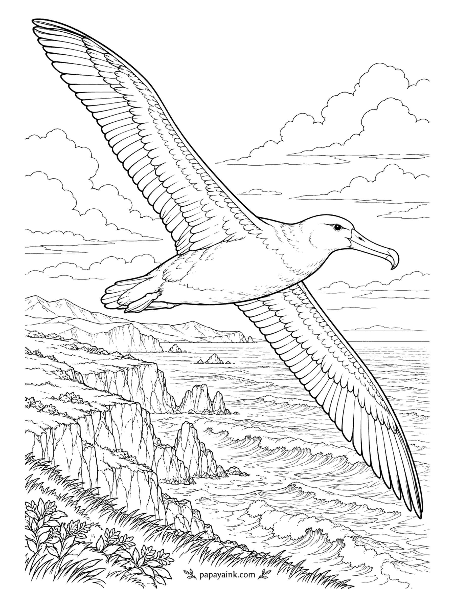 Bird Coloring Pages - Widest wingspan of any living bird, and it barely flaps. A wandering albatross glides along a cliff coast over breaking surf, wings tipped toward the waves. Mostly white, wingtips and trailing edge black; leave the sky bare and spend the effort on the sea.