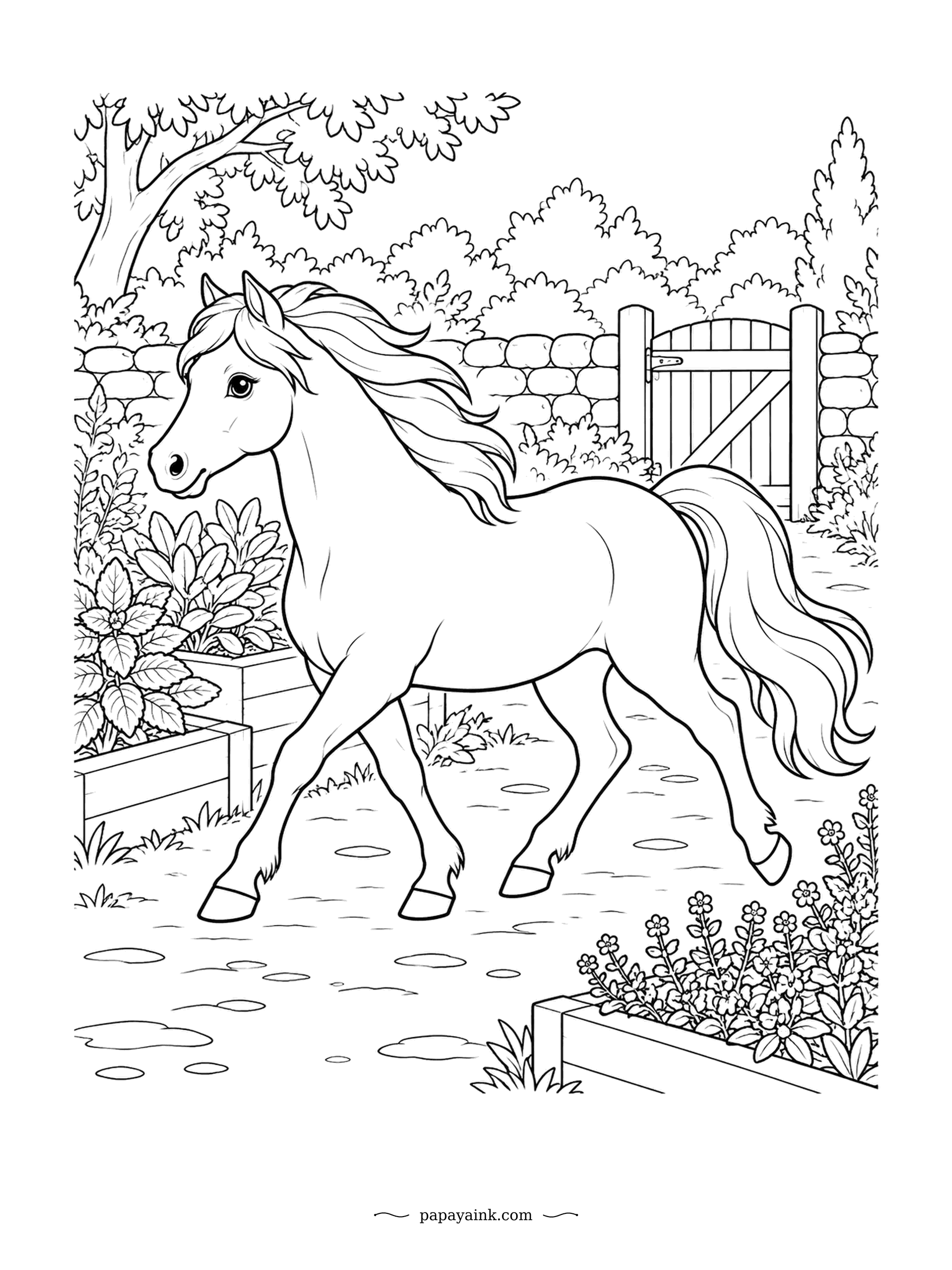Horse Coloring Pages - Weaving between raised beds of herbs, a wall and a wooden gate beyond. Welsh Mountain ponies are the smallest of the Welsh types and have a slightly dished face from Arabian blood long ago. Sage, mint and lavender in the beds give you three greens.