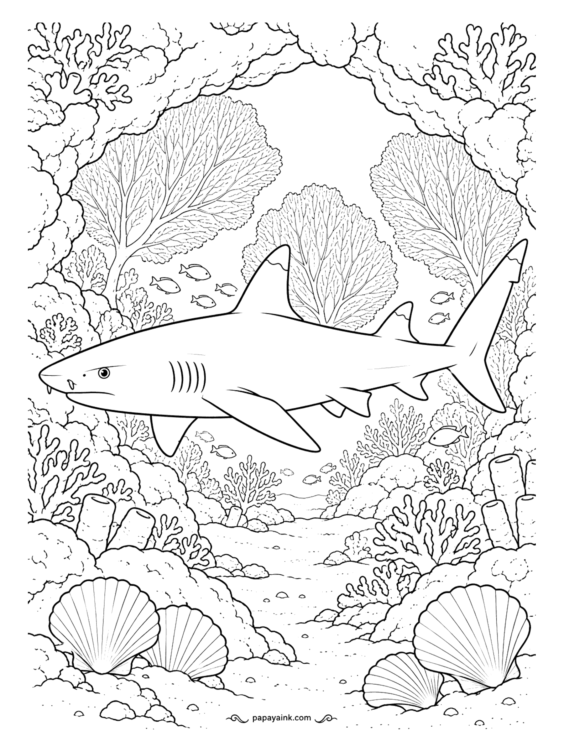Shark Coloring Pages - A blunt head is a tool here. At night whitetip reef sharks hunt in loose groups, wedging themselves into cracks in the coral to grab fish that have gone to sleep. Detailed - sea fans through the arch and big scallops in front.