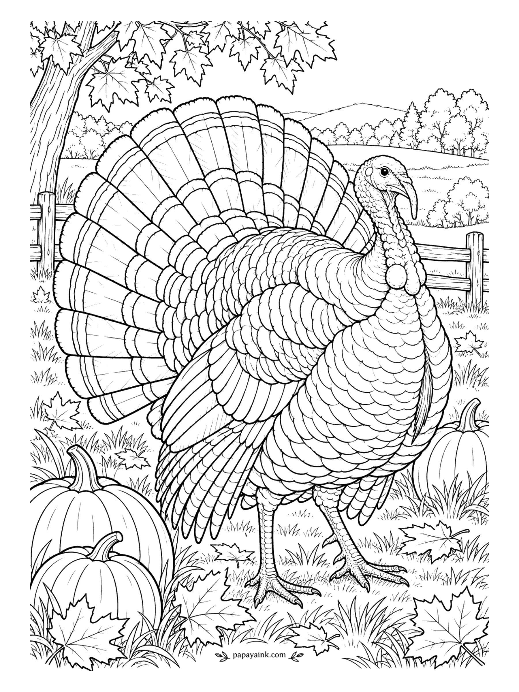 Bird Coloring Pages - Full fan, puffed chest, strutting for an audience that is not there. A wild turkey displays in an autumn field with pumpkins, maple leaves and a split-rail fence. Bronze body with a copper sheen, the bare head blue and red, tail tips in buff. Detailed.