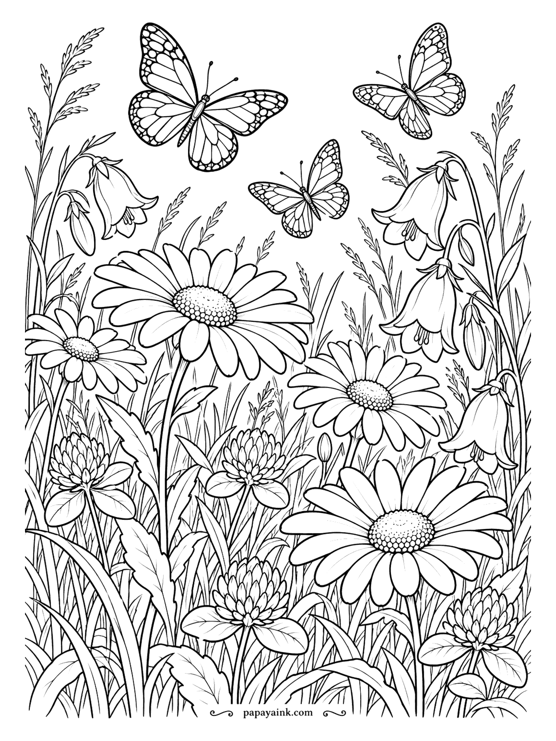 Flower Coloring Pages - Daisies, clover, bellflowers and tall grasses grow all mixed up in this meadow, with three butterflies crossing overhead. No two stems reach the same height. Try a different green for the grasses than for the leaves.