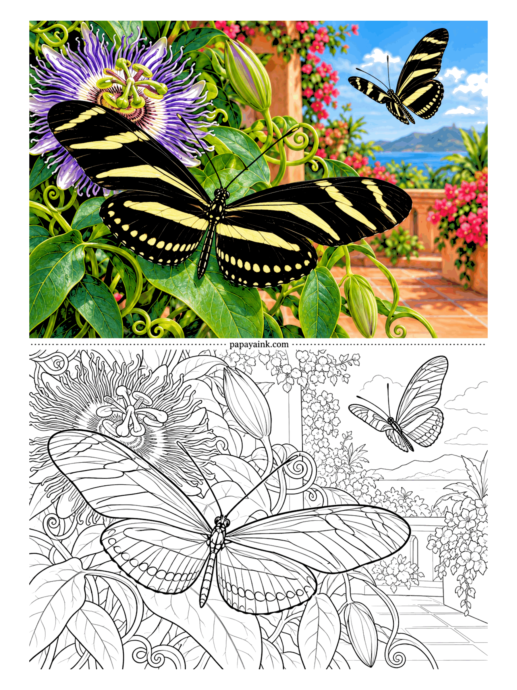 Butterfly Coloring Pages - Passion vine along a terrace, bougainvillea, mountains past the railing, and two zebra longwings, one on a leaf and one in the air. Long narrow wings, black with yellow stripes. The curling tendrils are a good warm-up before you go near the butterflies.