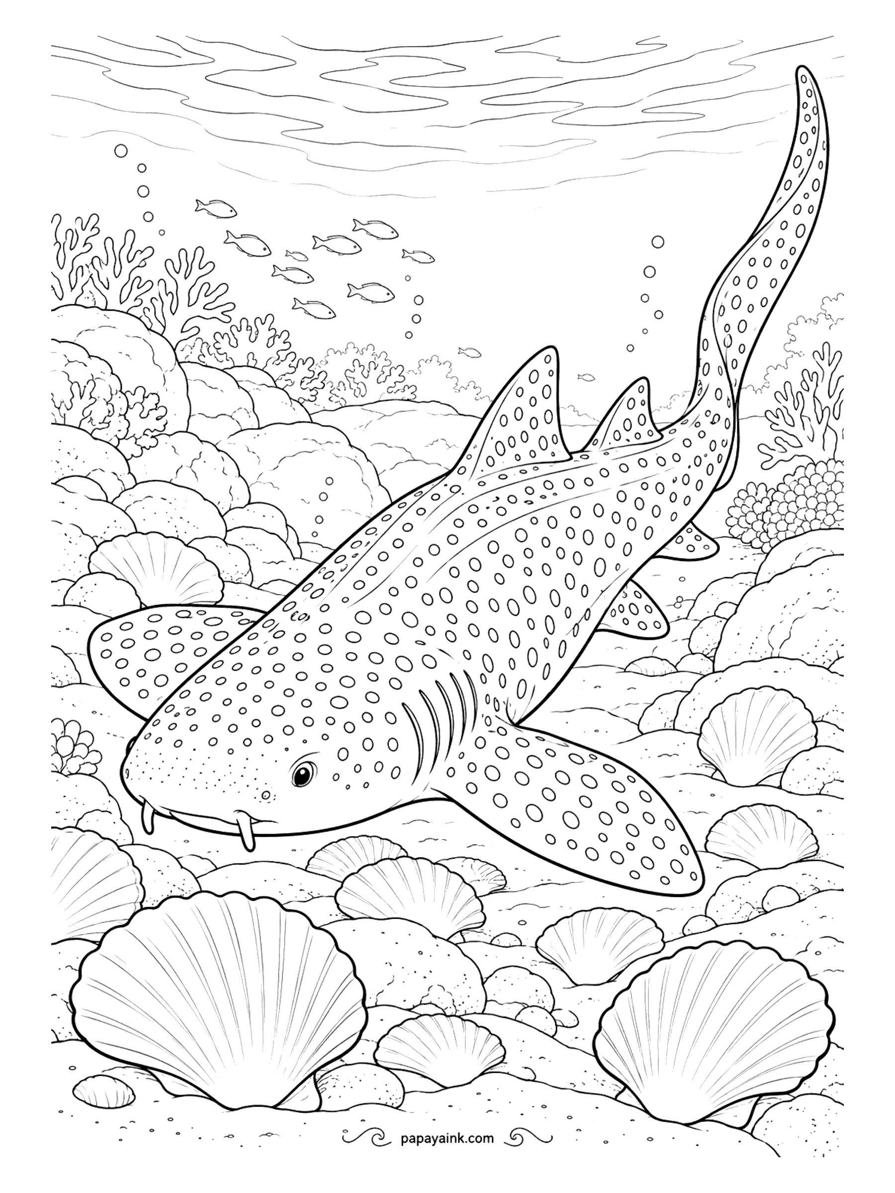 Shark Coloring Pages - Look at the length of that tail: on a zebra shark it is nearly as long as the rest of the body. It rests on sand by day and hunts snails and crabs at night. Big scallops make a good place to try out patterns.
