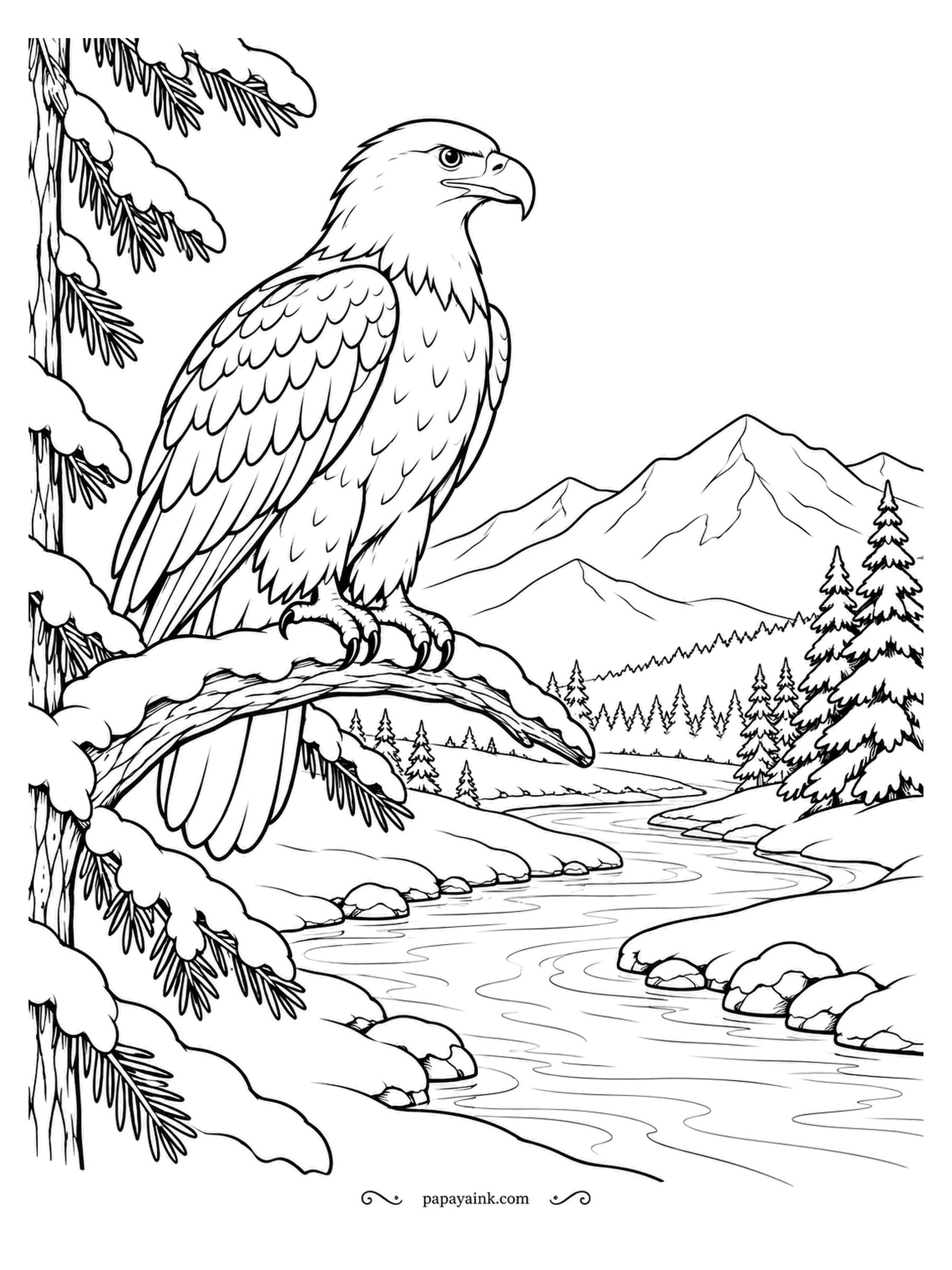 December Coloring Pages - The bald eagle on this snow-laden pine branch looks down the valley, where a river winds between white banks toward the mountains. Adults have the white head and tail and a yellow beak; the body is chocolate brown. Detailed - every feather is drawn.