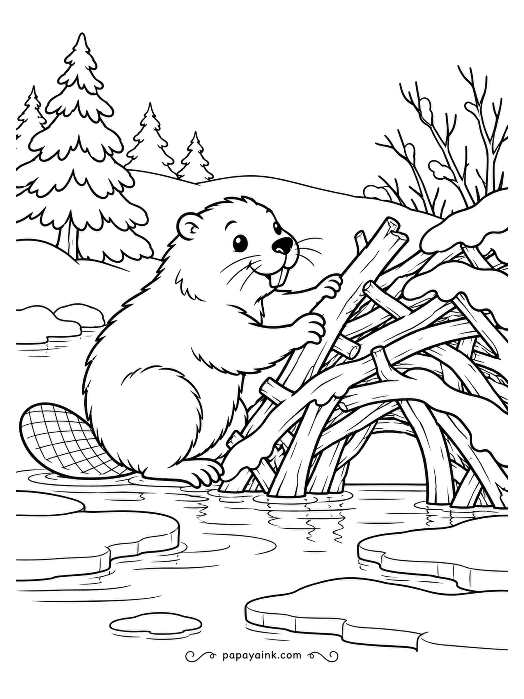 December Coloring Pages - The beaver is adding one more stick to the lodge before the pond freezes over; ice already rims the shore. Flat scaly tail and big orange front teeth are the giveaways. Rich brown fur, and the chewed sticks left pale where the bark is gone.