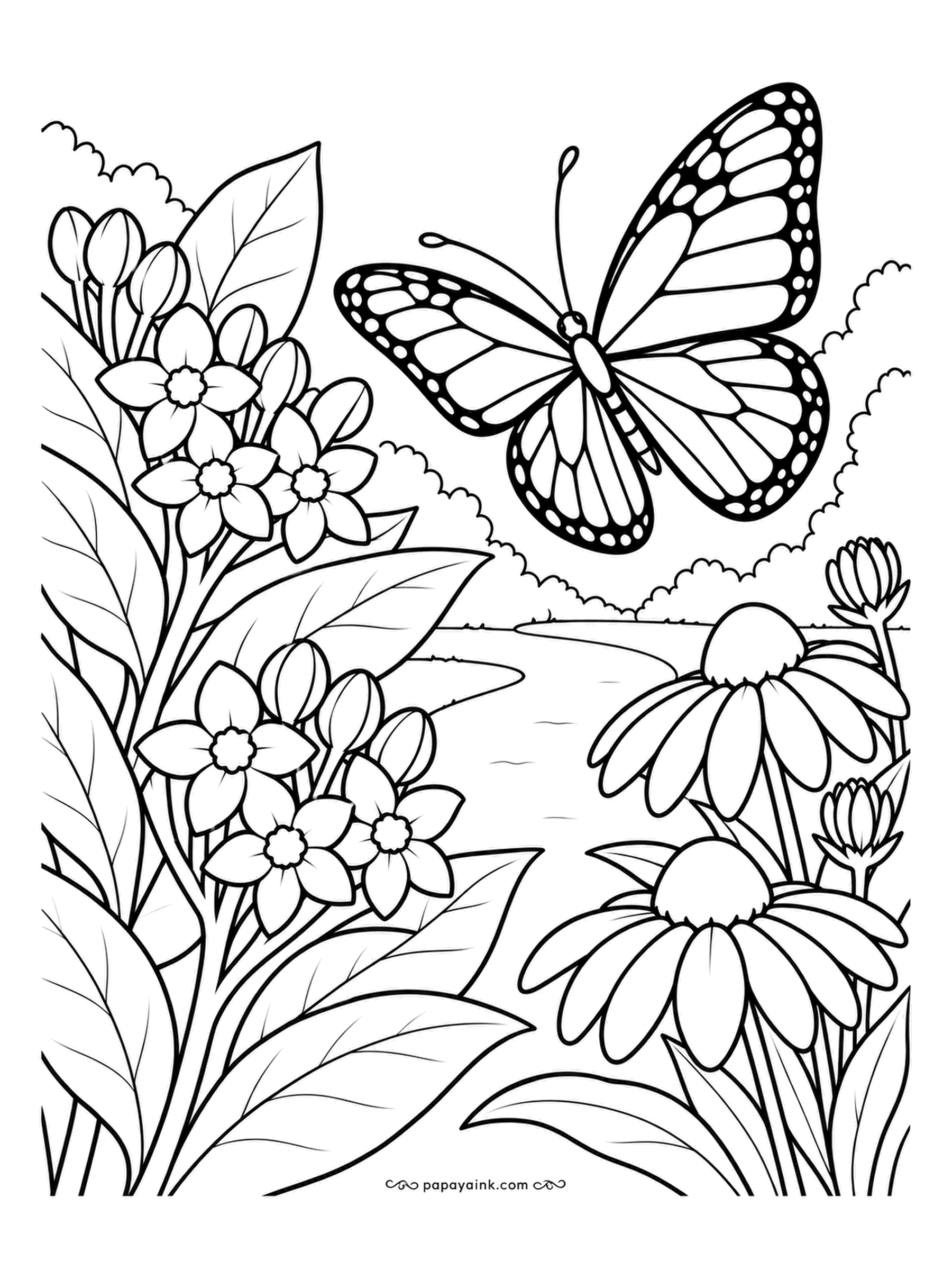 Garden Coloring Pages - Milkweed in flower on the left, coneflowers on the right and a monarch coming in to land: this is a butterfly garden, planted so the caterpillars have food and the adults have nectar. Milkweed blooms are dusty pink; the monarch orange with black veins.
