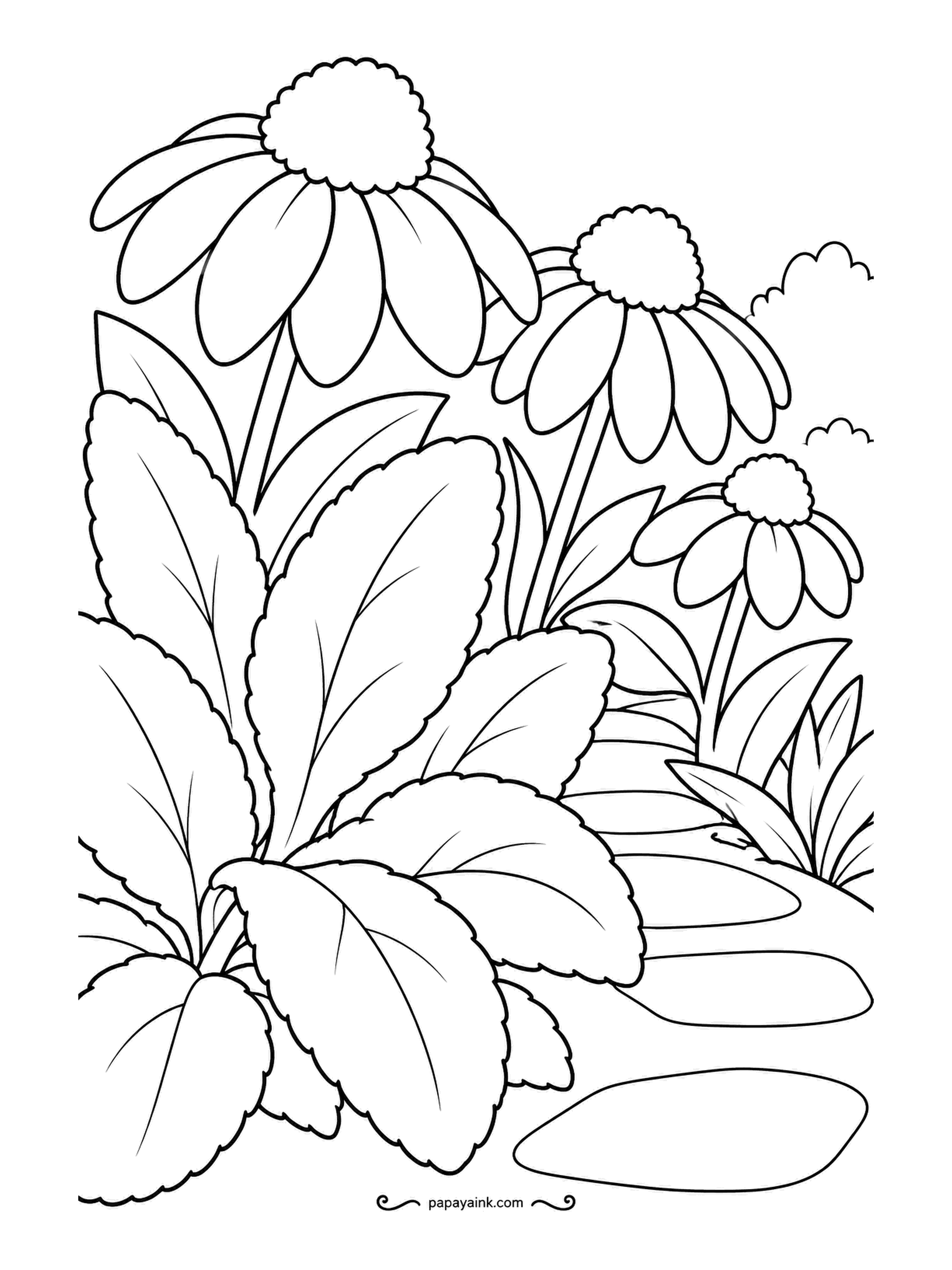 Garden Coloring Pages - Lamb's ear takes up most of the foreground, its velvety leaves drawn soft-edged, with coneflowers overhead and smooth stepping stones to the side. A silvery gray-green for the fuzzy leaves is right; they are closer to silver than green in a real bed.