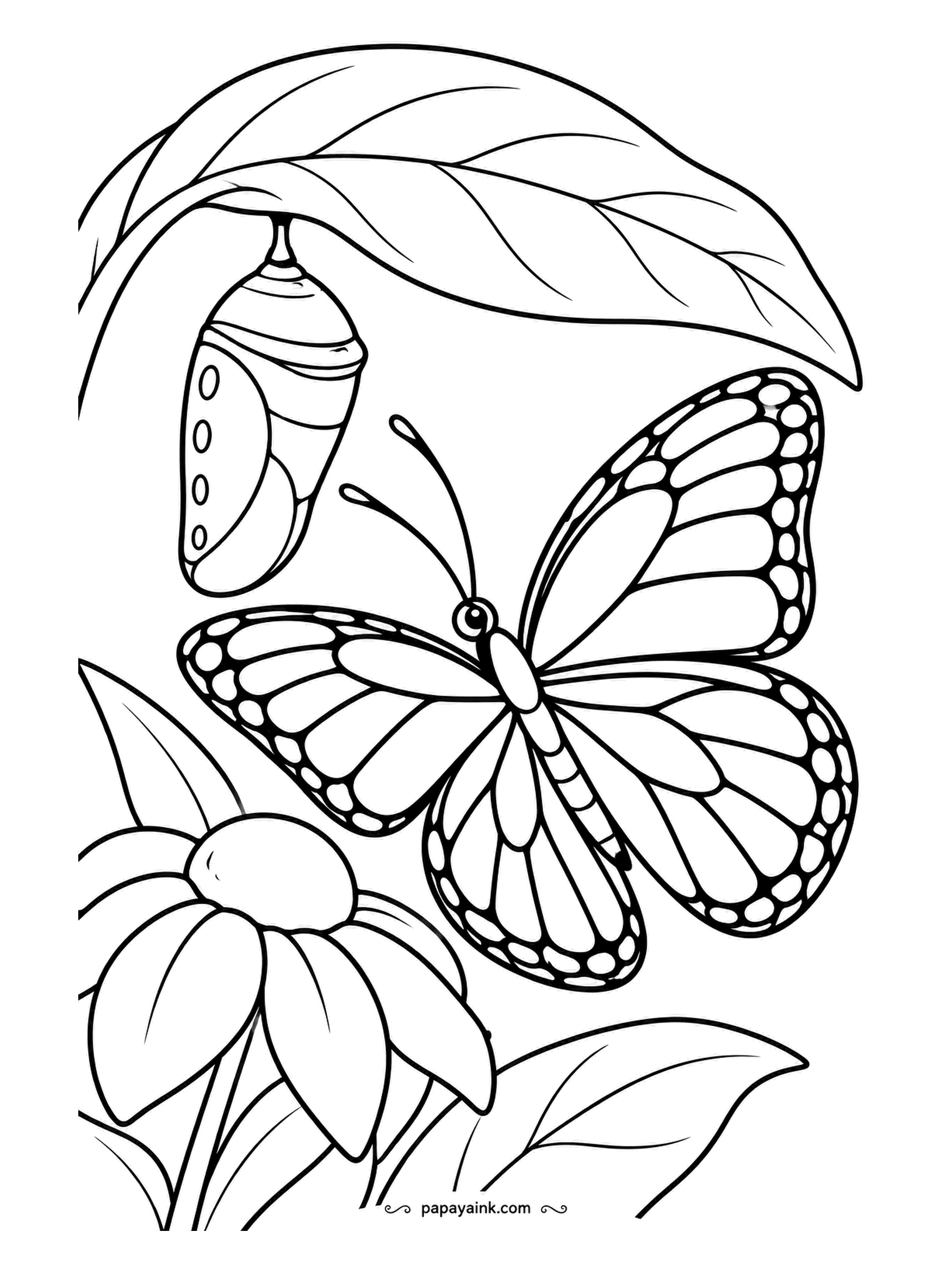 Garden Coloring Pages - Hung from the underside of a leaf, a monarch chrysalis waits with its row of tiny dots along the rim, while an adult monarch arrives to show what is coming. The real chrysalis is jade green with a gold band - worth getting right.