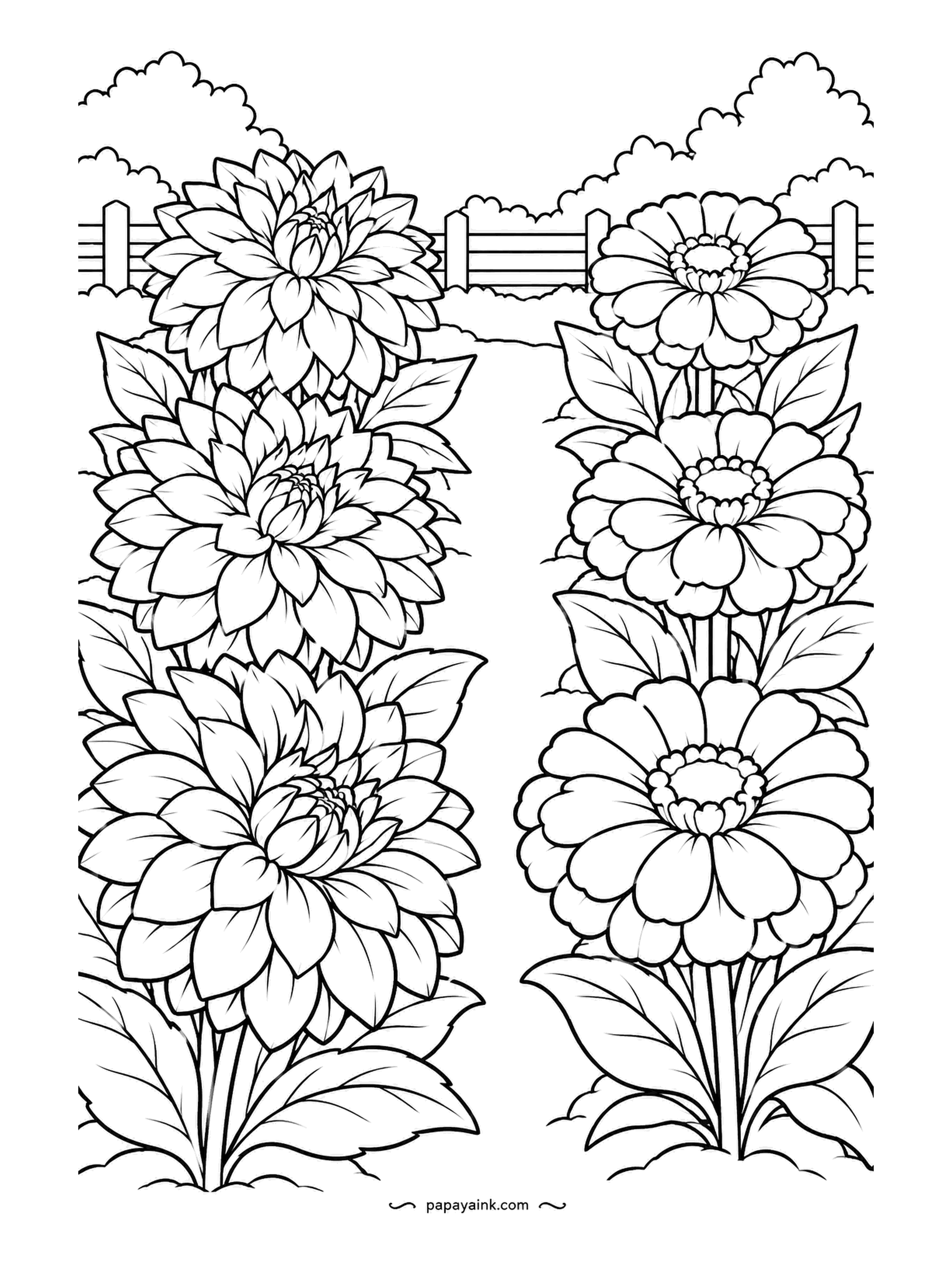 Garden Coloring Pages - Grown for the vase, not the view: a row of dinner-plate dahlias on the left and a row of zinnias on the right, with a path between for cutting. Dahlias in one rich color, zinnias in a mix of hot pinks and oranges. Detailed.