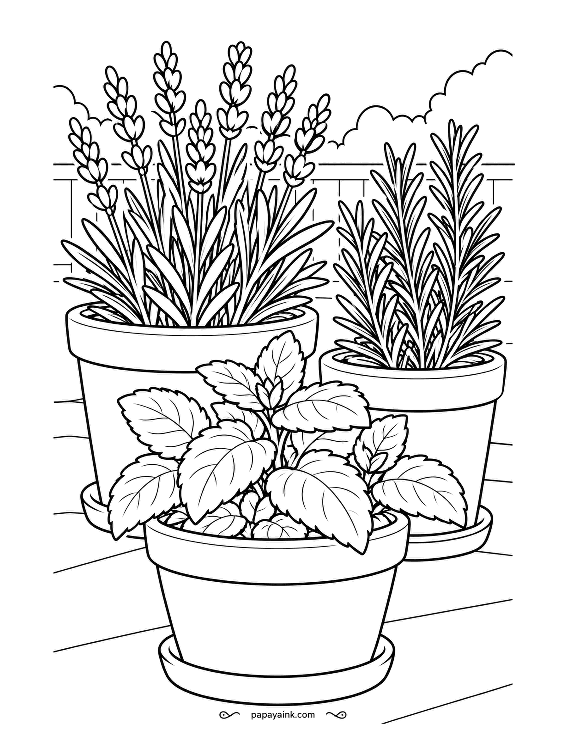 Garden Coloring Pages - Three pots, three smells: lavender in spikes at the back, needle-leaved rosemary beside it, and mint in the front pot with its crinkled leaves. Lavender gets purple flower heads on gray-green stems; the other two are green only.