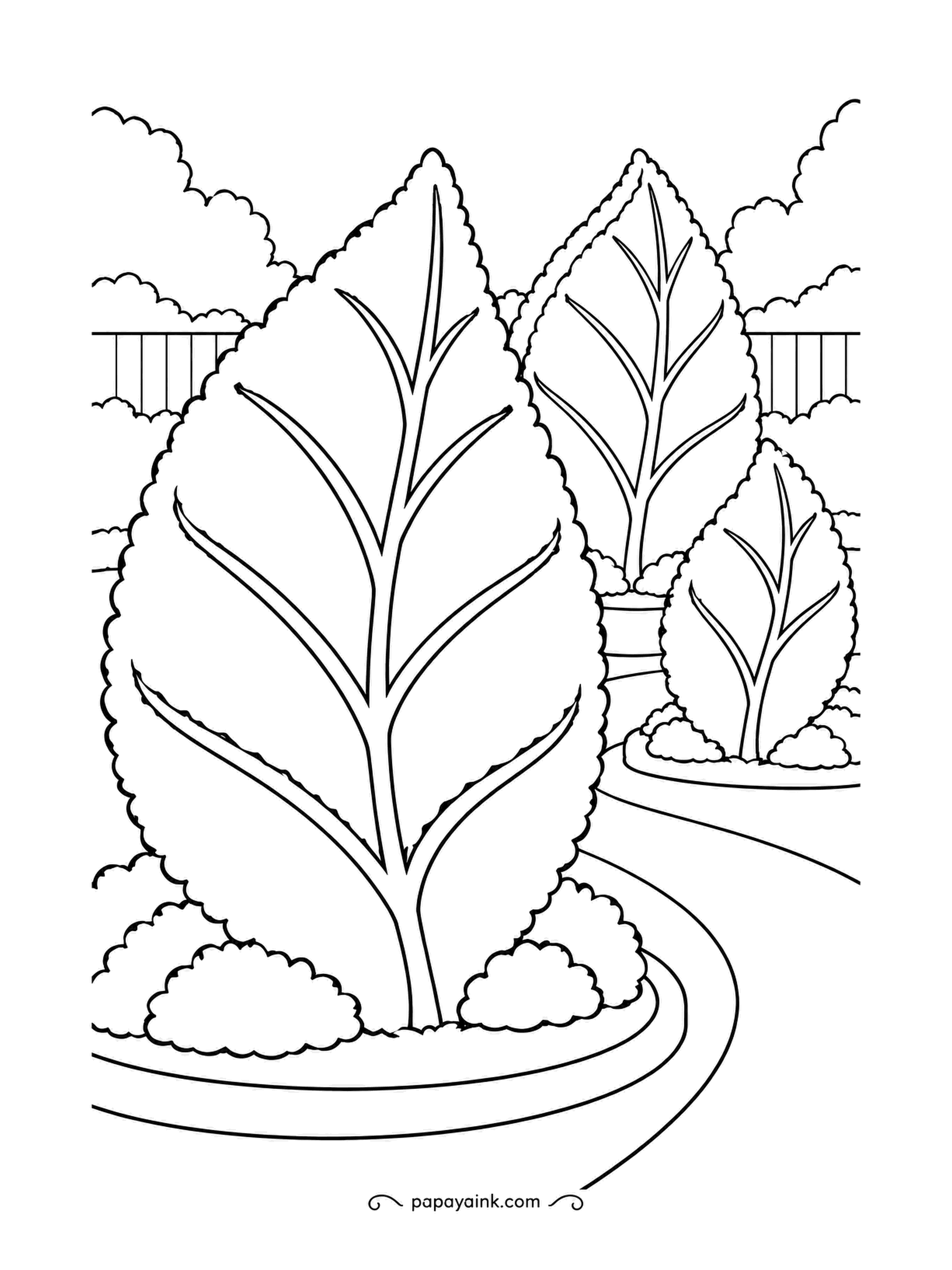Garden Coloring Pages - Three shrubs clipped into giant leaf shapes, veins and all, standing in a curved bed with a path running past. Topiary is all one plant, so one green for the whole shape, with the veins picked out a shade darker.