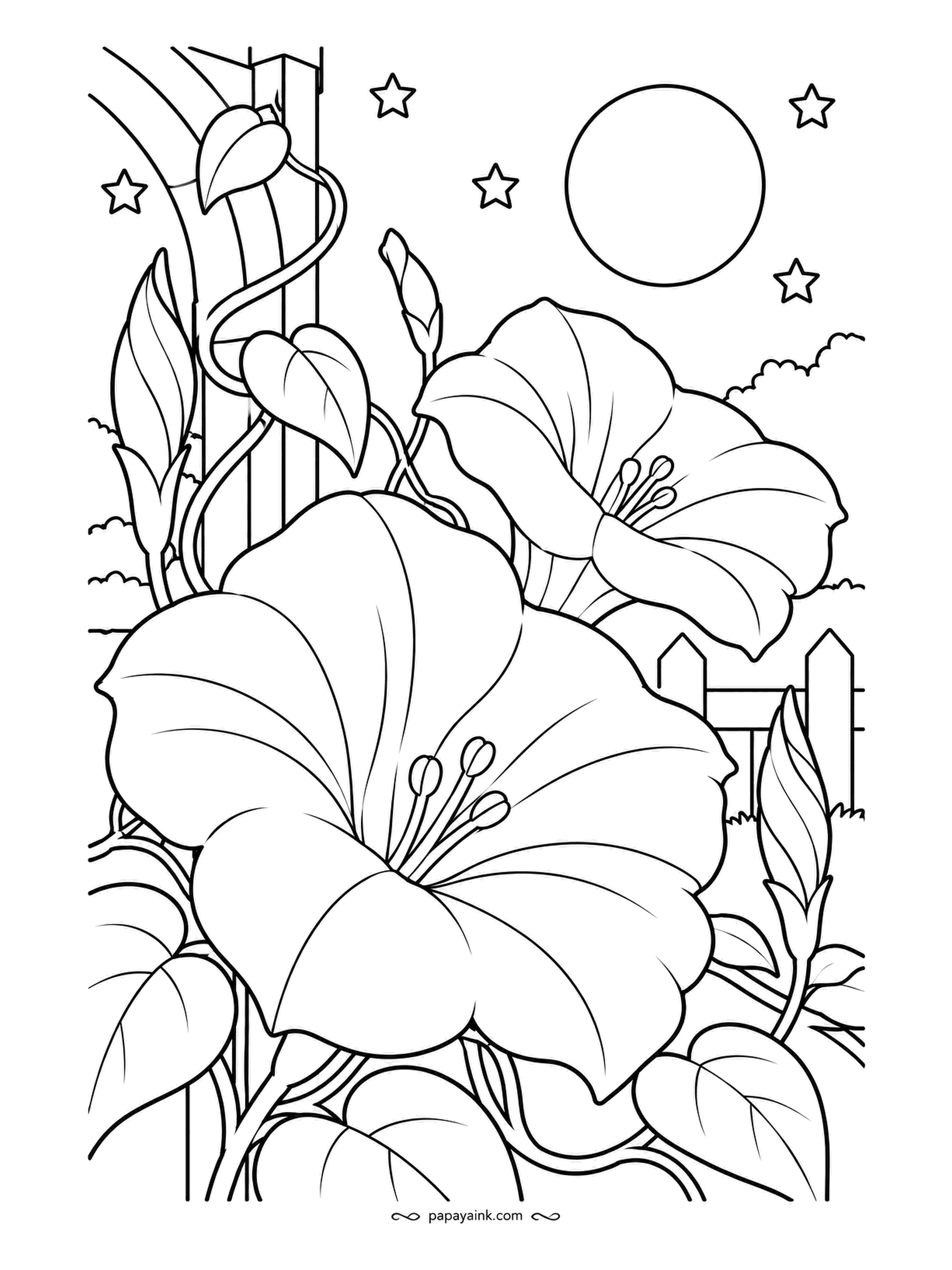 Garden Coloring Pages - Moonflowers open at night, and this bed is planted for exactly that: wide trumpet blooms on a twining vine under a full moon and a scatter of stars. Keep the flowers almost untouched and go deep navy on the sky.