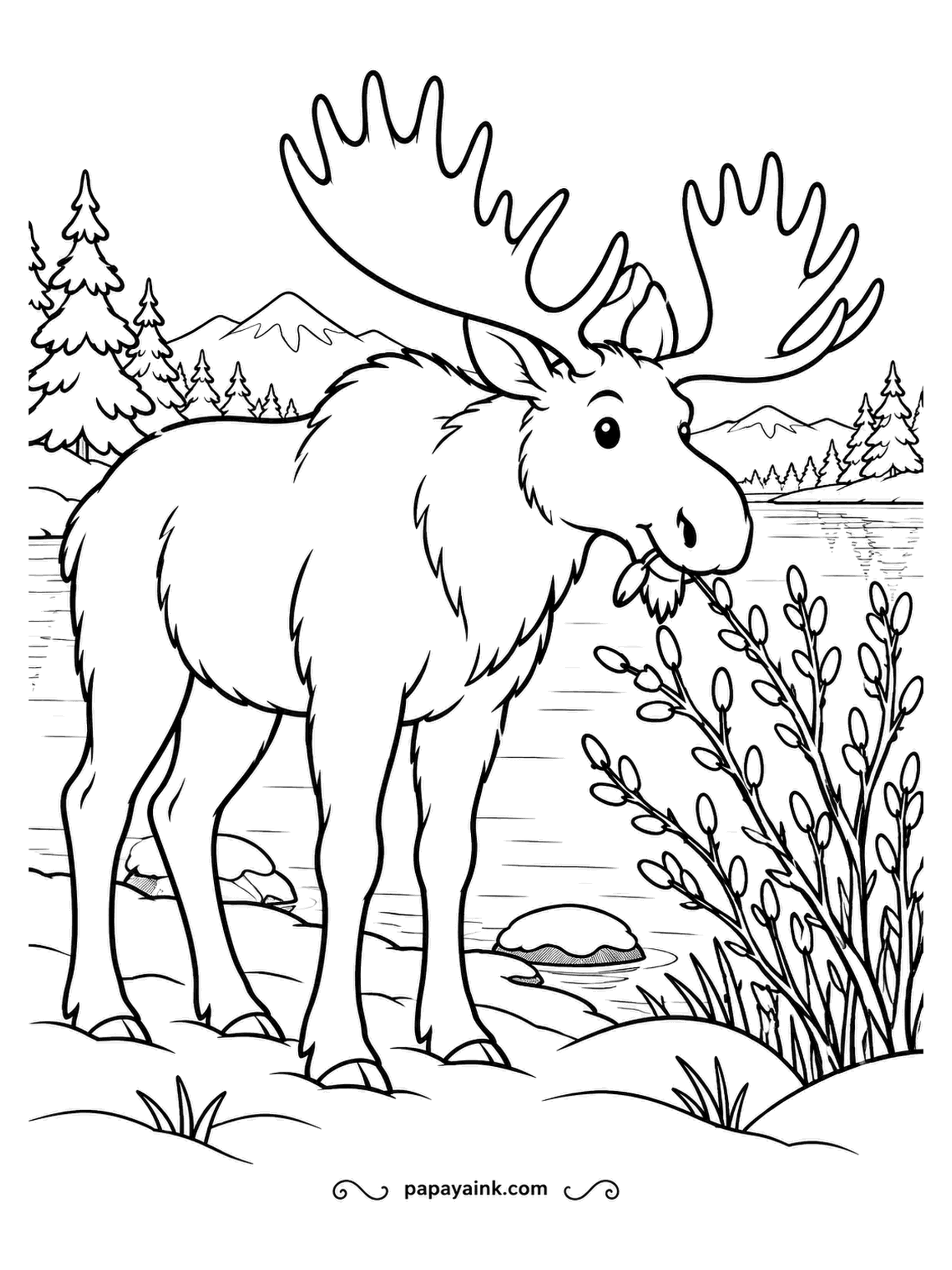 December Coloring Pages - The bull moose is working through a willow bush by the lakeshore, a twig still in his mouth. Willow is standard moose fare once snow buries everything else. Dark brown body, a paler muzzle and legs, and antlers in a warm tan.