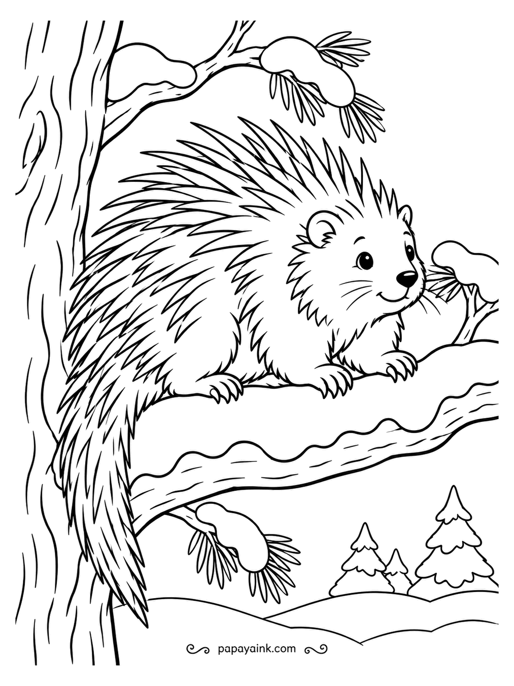 December Coloring Pages - North American porcupine, settled on a broad branch, quills bristling, perfectly content. Porcupines spend winter days exactly like this and climb down at night to chew bark. Deep brown body with yellowish quill tips for the real look.