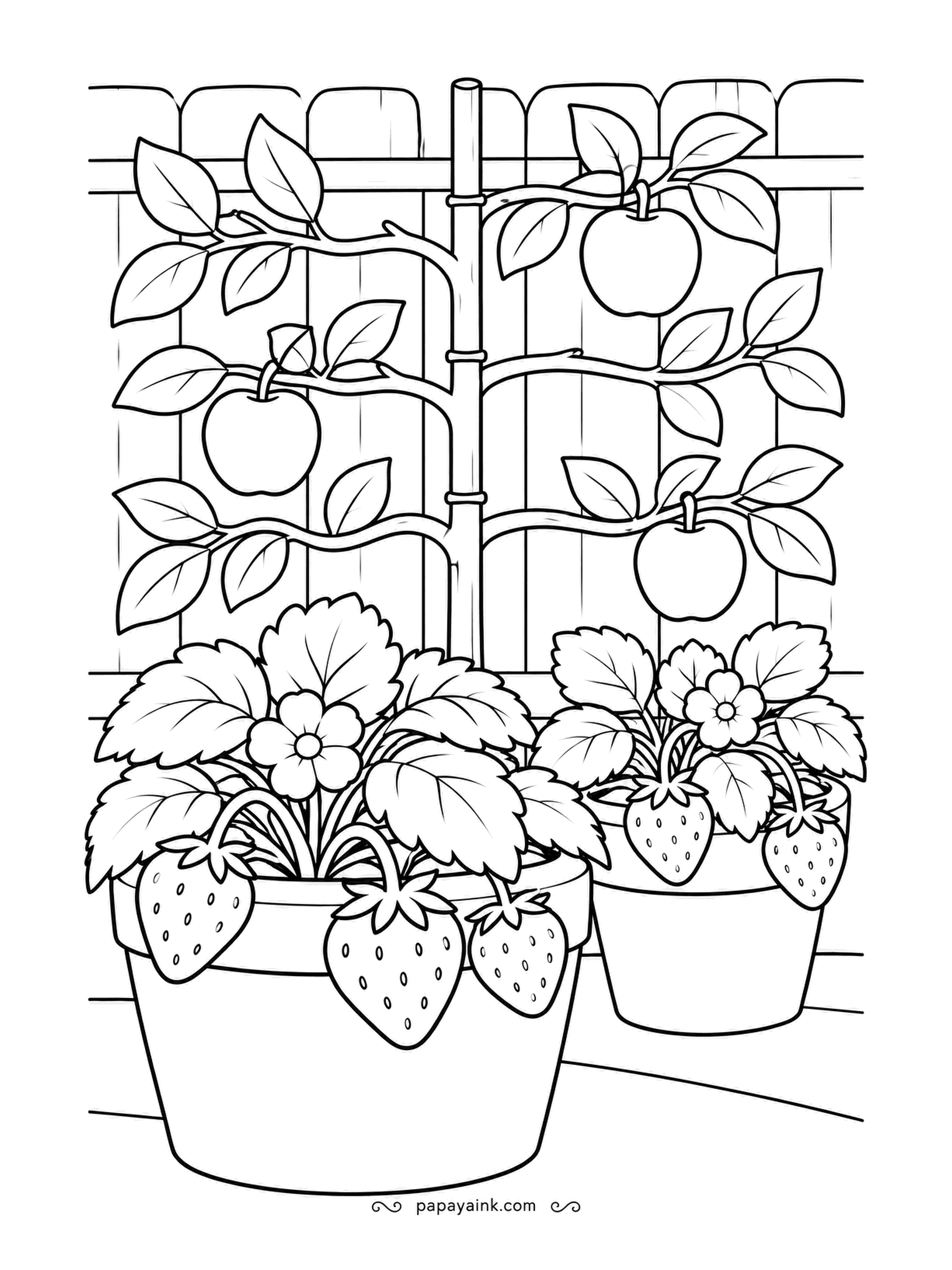 Garden Coloring Pages - An apple tree trained flat along a fence - an espalier - with fruit hanging from every tier, and two pots of strawberries ripening below. Red apples, red berries with white flowers; the trick is giving the strawberry foliage a separate shade from the apple's.