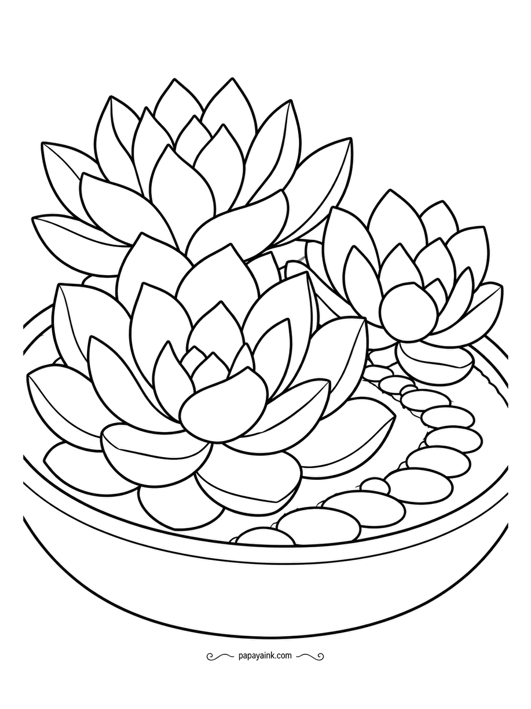 Garden Coloring Pages - A shallow dish holds a miniature landscape of echeveria rosettes and smooth pebbles, nothing else. Succulents come in dusty blue, gray-green and purple-edged pink, so each rosette can be its own color. Large simple shapes - a quick sheet.