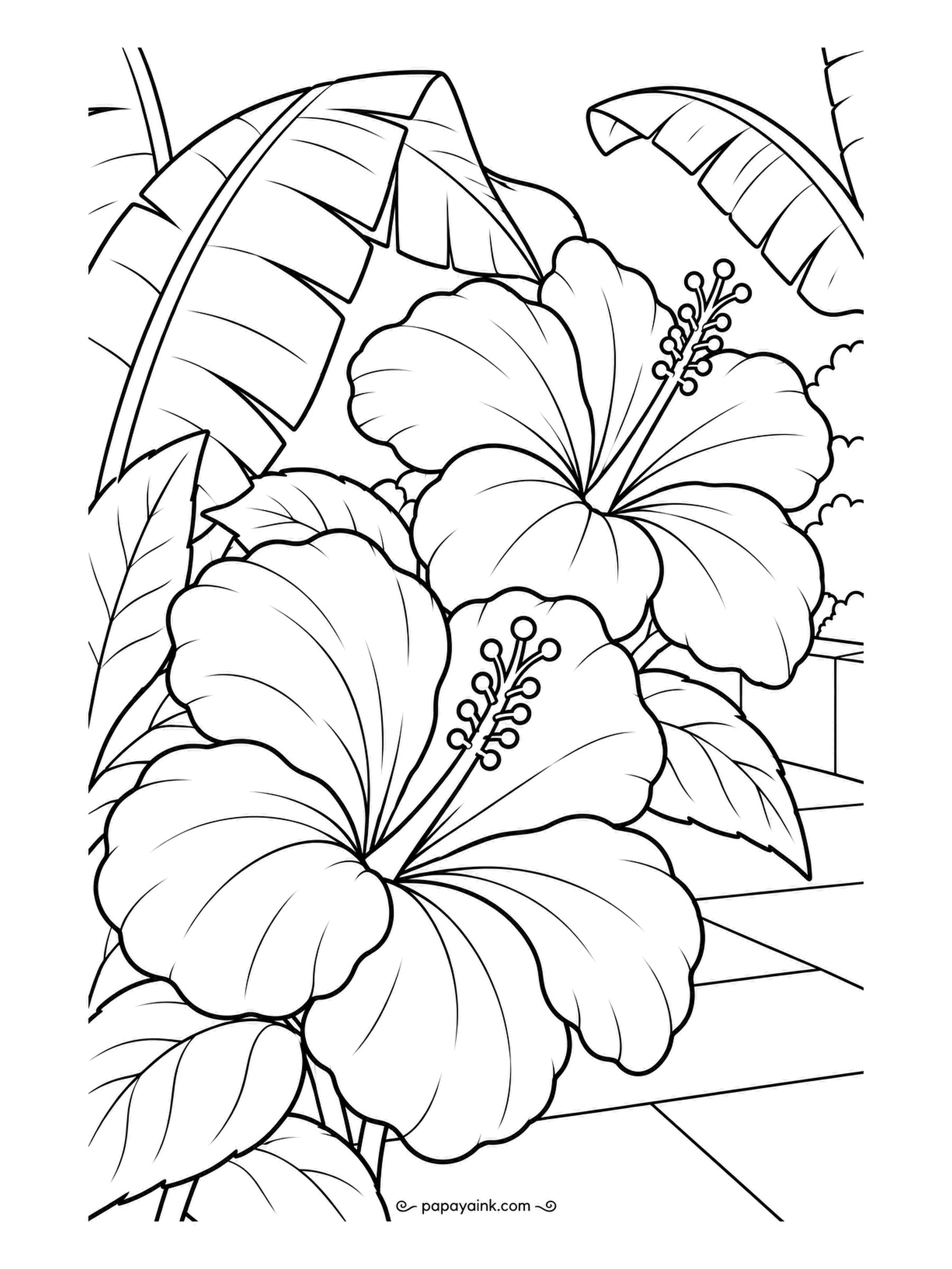 Garden Coloring Pages - Banana leaves arch over a tiled patio where hibiscus blooms as big as hands hang open, each with a long stamen. Deep red or orange hibiscus against the fresh green of the banana leaves is the color pairing the real plants give you.