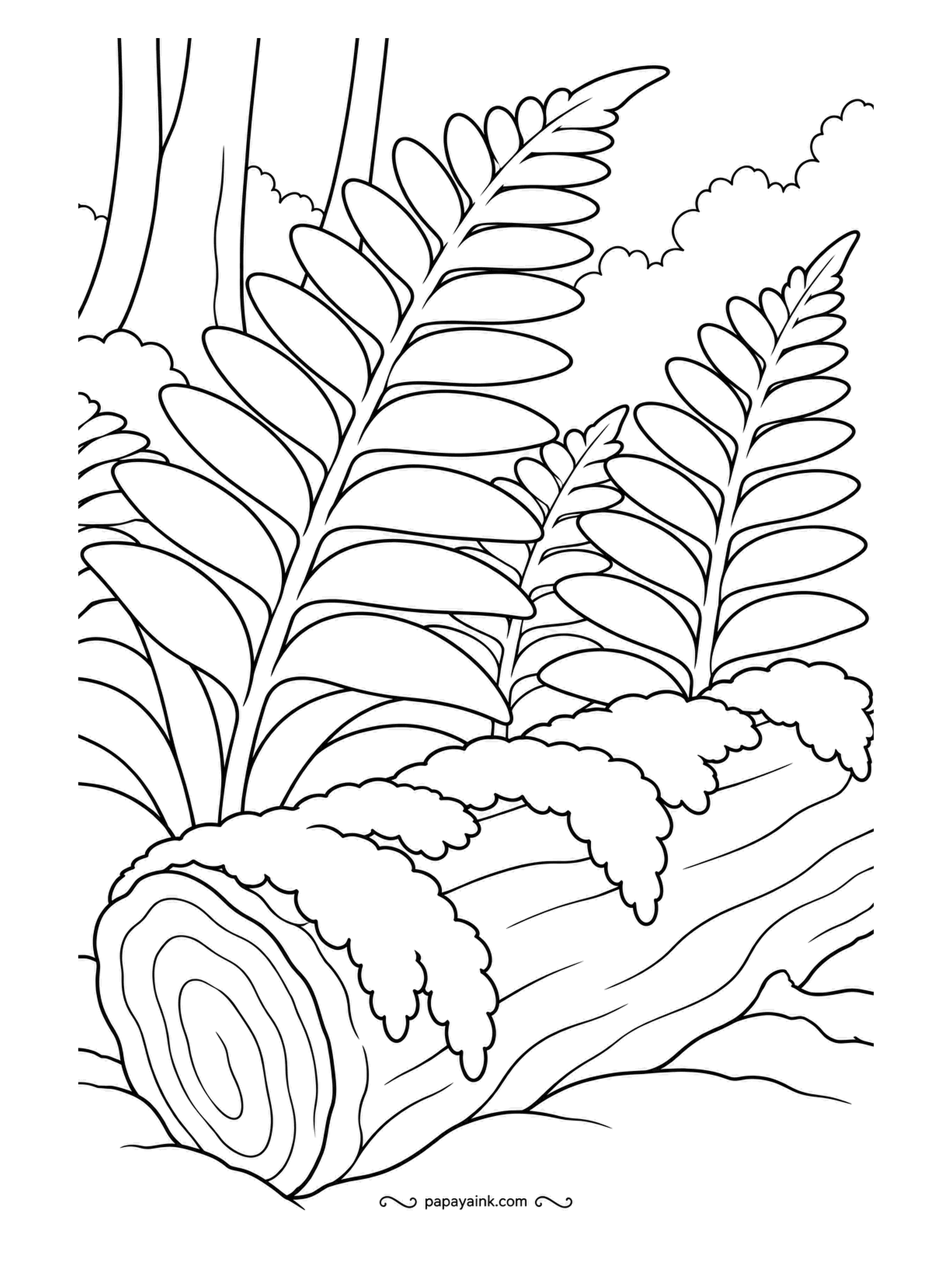 Garden Coloring Pages - Deep in the shade, ferns unfurl beside a fallen log padded with moss, tree trunks rising behind. Moss is a yellow-green, ferns a darker true green, and the log a gray-brown with the rings showing at the cut end.