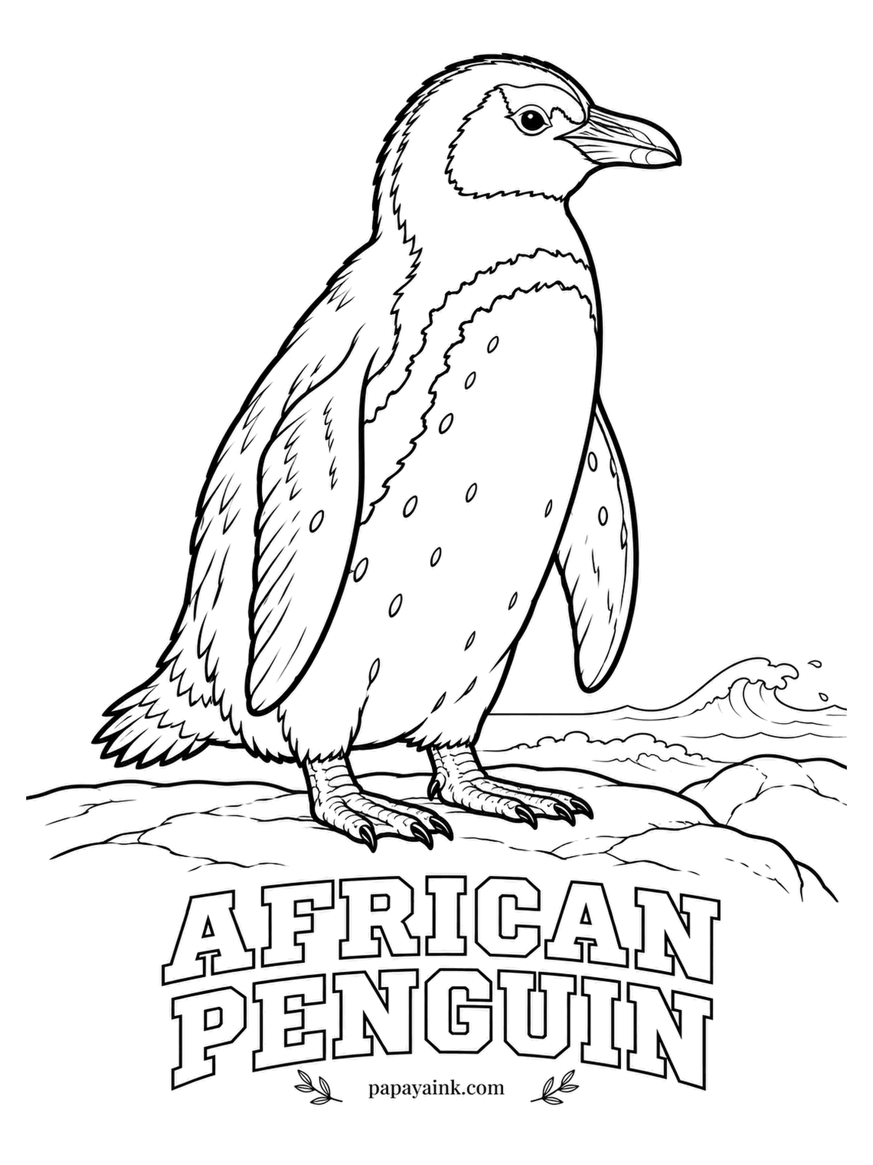 Printable Bird Coloring Pages - Sailors once called it the jackass penguin, because its call sounds just like a braying donkey. Black back, white front, a black band across the chest and a scatter of black spots unique to each bird. Pink skin above the eye keeps it cool.