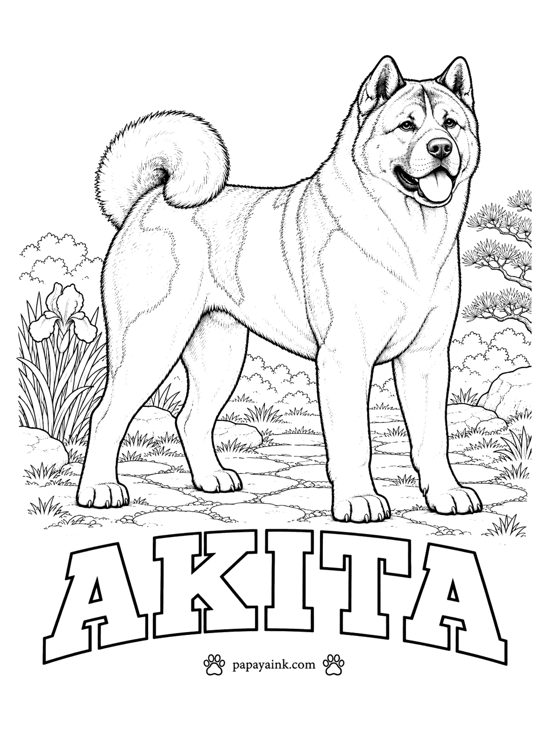 Free Printable Dog Coloring Pages - Hachiko, the dog who waited at a Tokyo train station for years, was an Akita. The American type shown here comes in white, brindle, red or pinto patches, commonly with a dark mask. The marked areas show where a second color could go.
