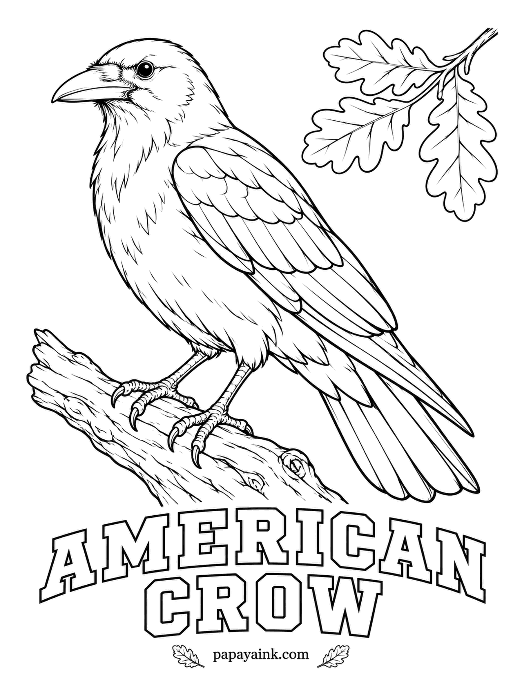Printable Bird Coloring Pages - Crows remember human faces for years and teach their young which people to scold. An American Crow is black all over, but not flat black: lay deep blue or purple first, then black on top, and the feathers get their sheen back.