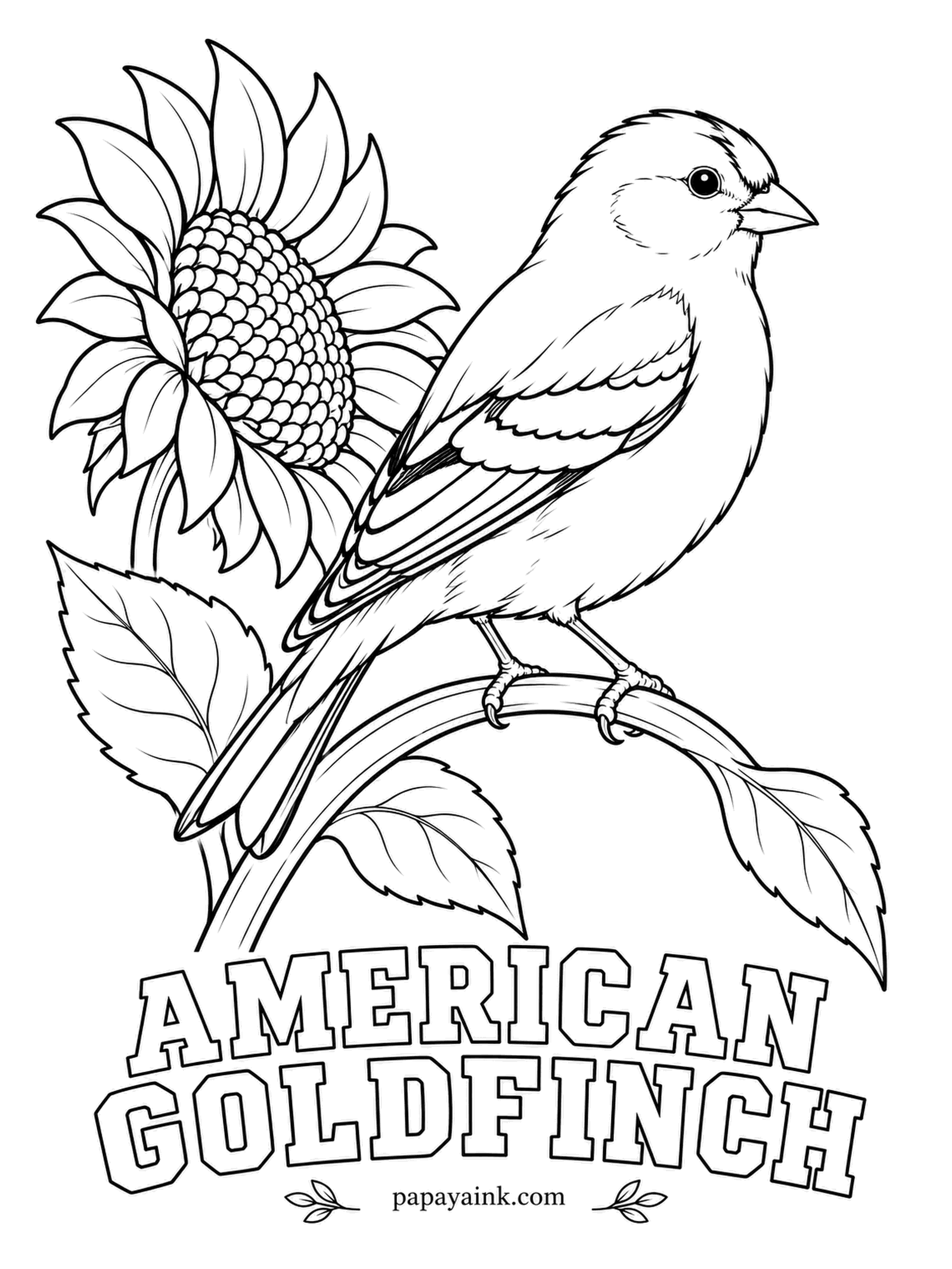 Printable Bird Coloring Pages - In summer the male American Goldfinch is lemon yellow with a black cap and black wings; by winter he fades to olive and few people recognize him. The sunflower fits: this finch lives on seeds. Add thin white bars across each wing.