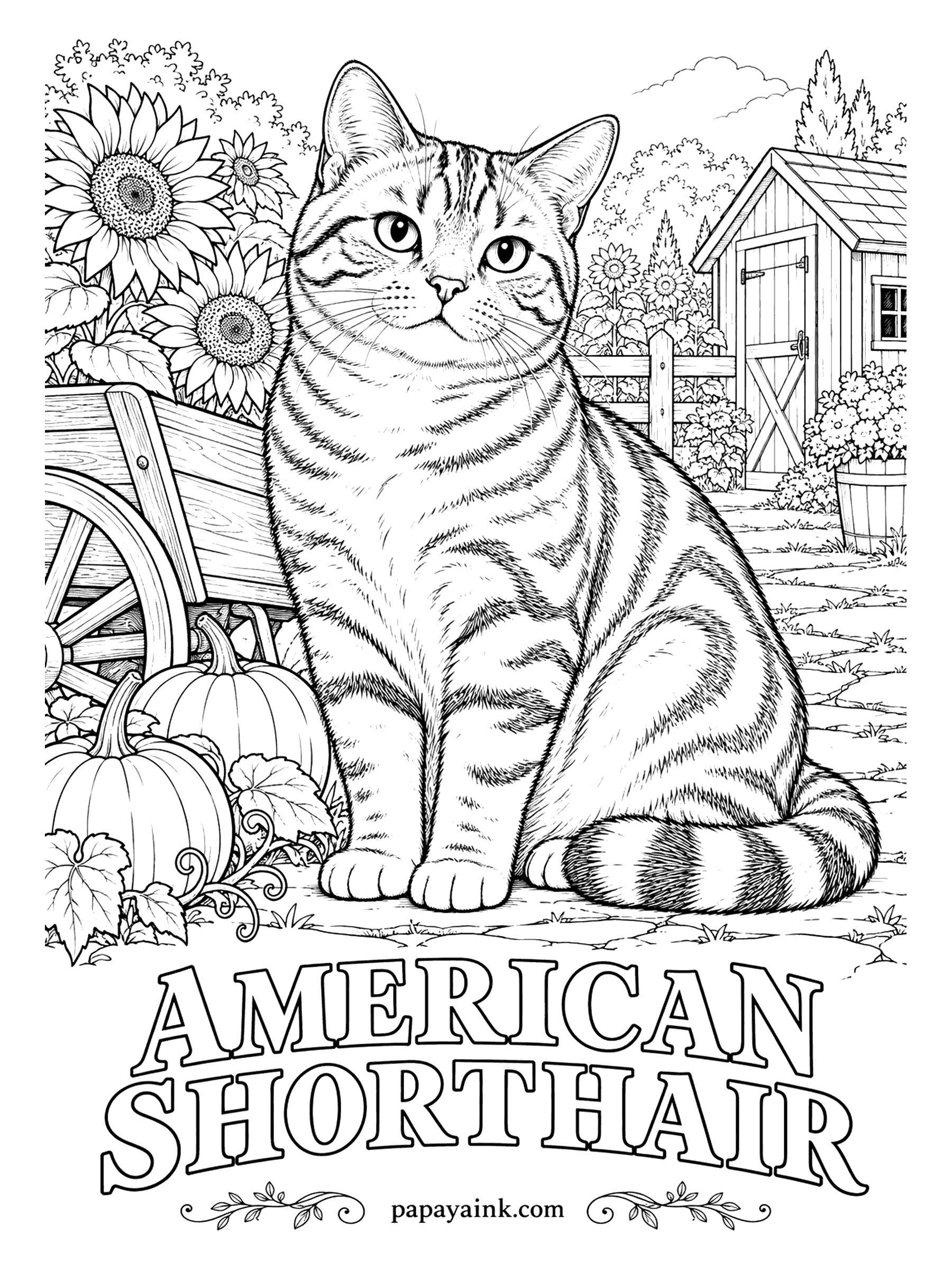 Free Printable Cat Coloring Pages - The silver classic tabby is the signature look of the American Shorthair, and the pattern is drawn in full: thick black swirls that close into a bullseye on each side. Leave the silver ground almost white and fill the swirls solid black.