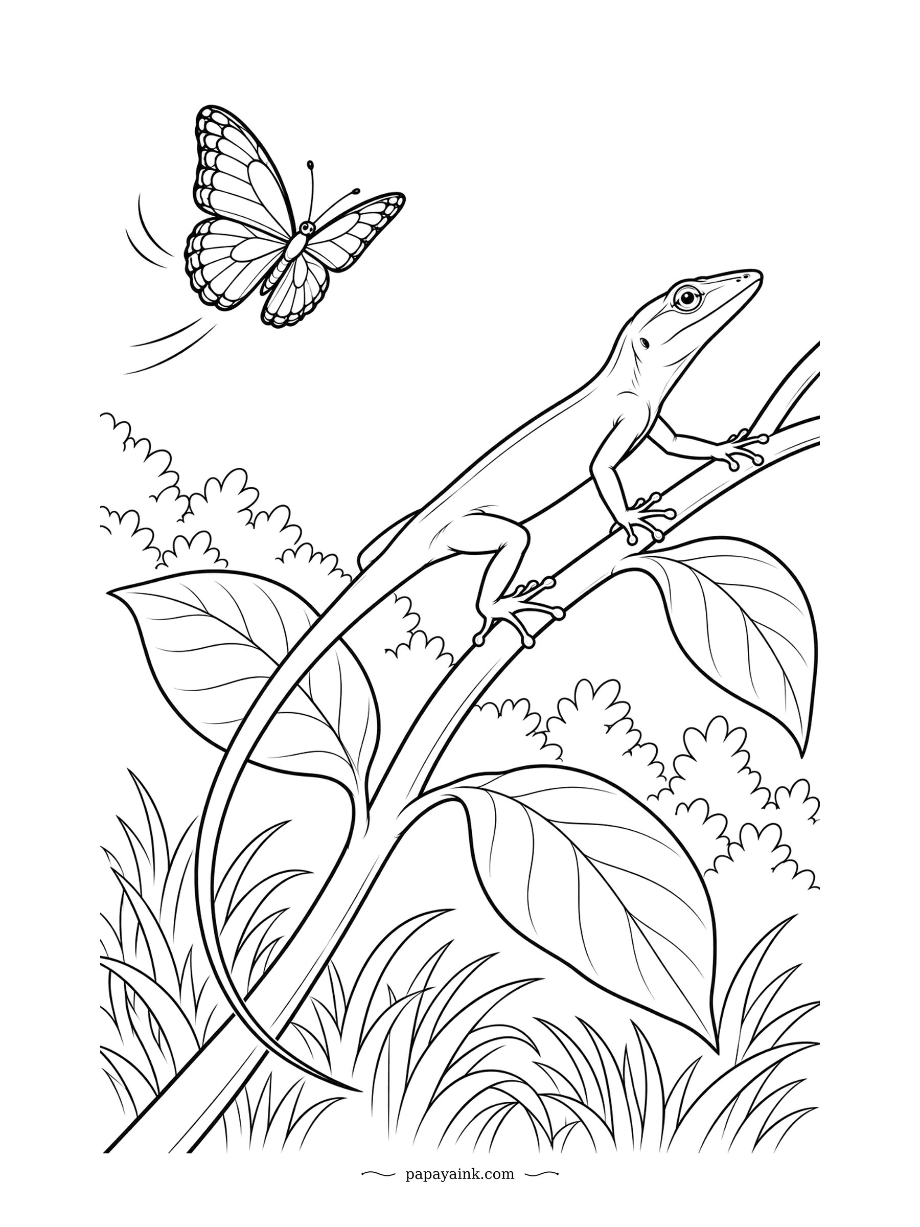 Lizard Coloring Pages - The stem bends a little beneath it, and the anole holds on with sticky toe pads while a butterfly flutters just out of reach. Anoles can shift from green to brown in minutes. Big foliage and grasses, fine detail in the wings.