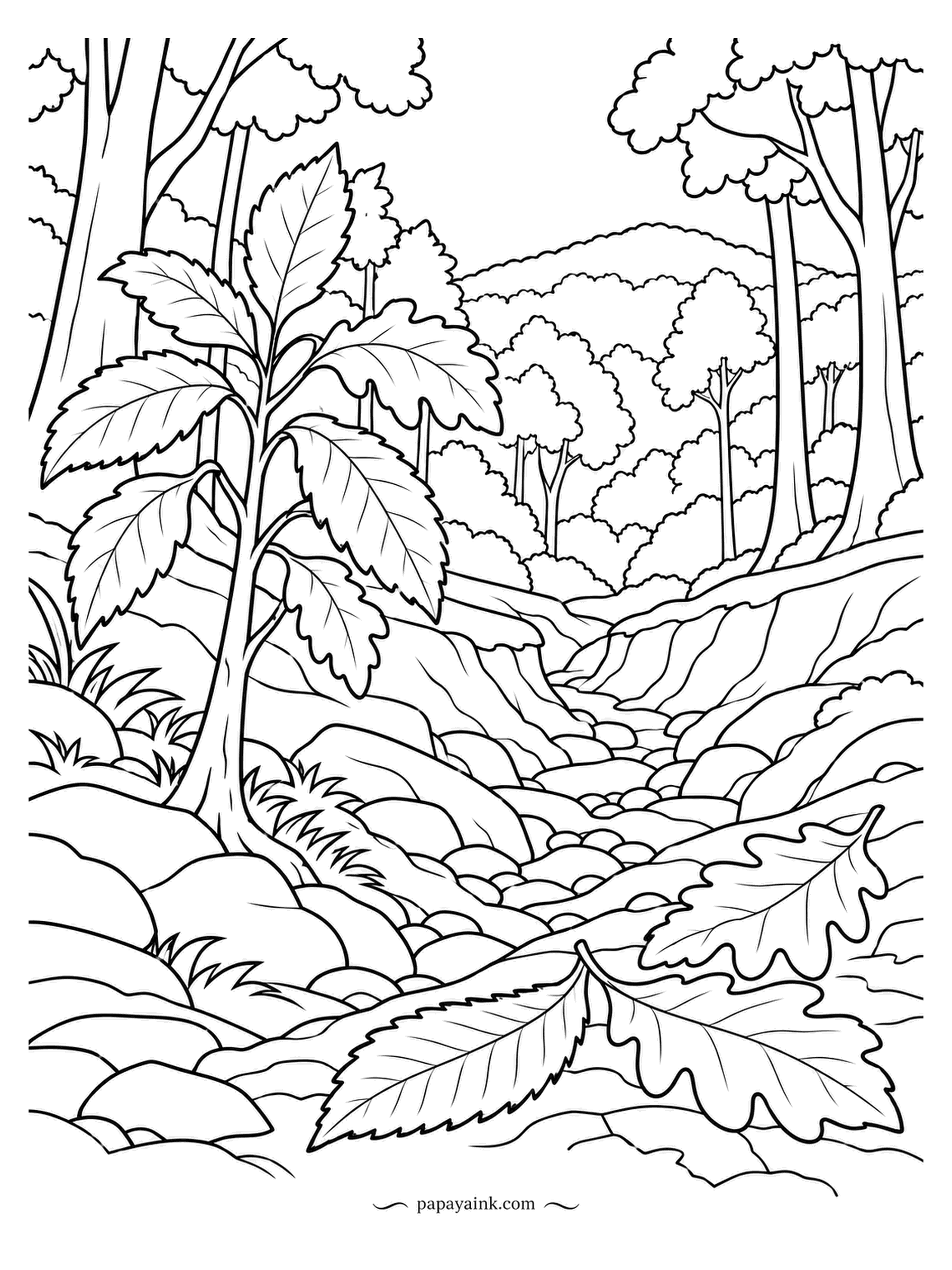 Nature Coloring Pages - A rocky creek bed winds through chestnut oaks, and a pair of fallen leaves up close are the size of the trees beyond, because that is how near you are standing. Detailed, with many trunks and stones. Autumn browns and rust suit it.